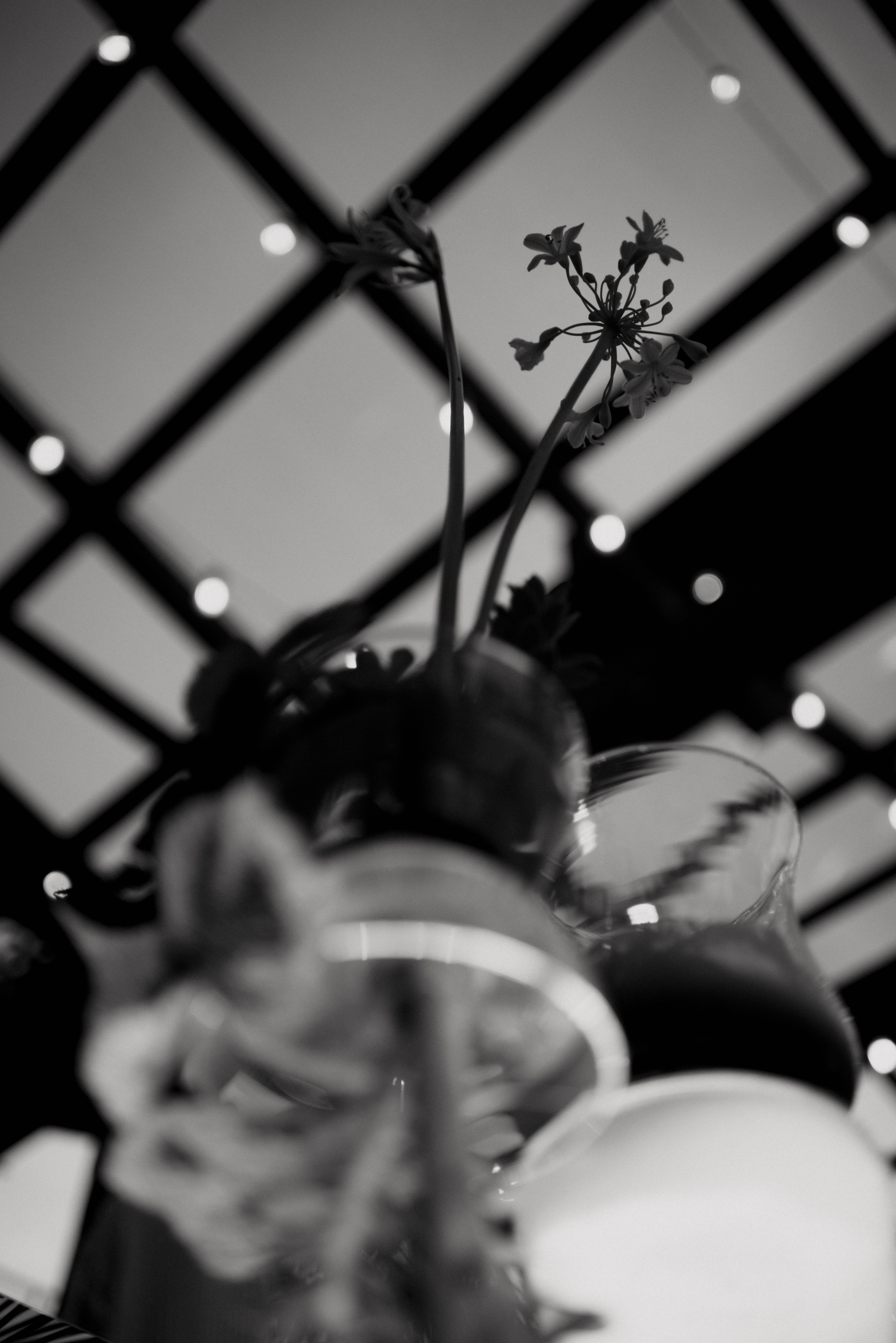 Лена и Антон. Home