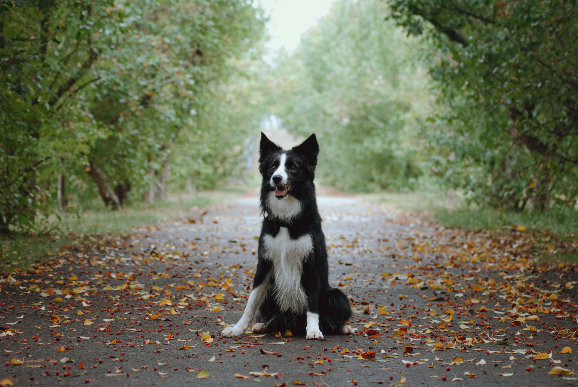 Макс. Фотограф в Тюмени Лизавета Сапицкая