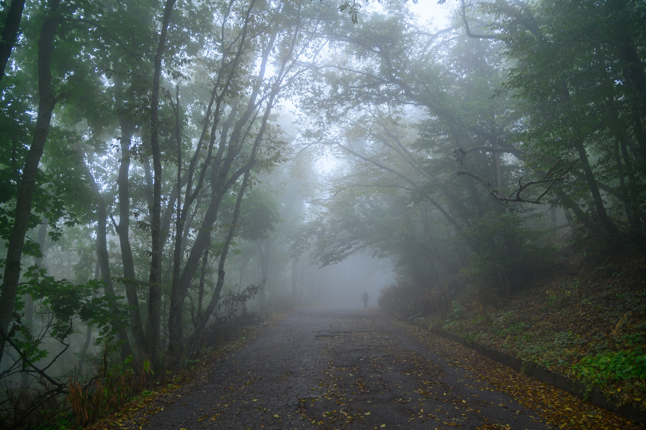 Фотографии природы и архитектуры