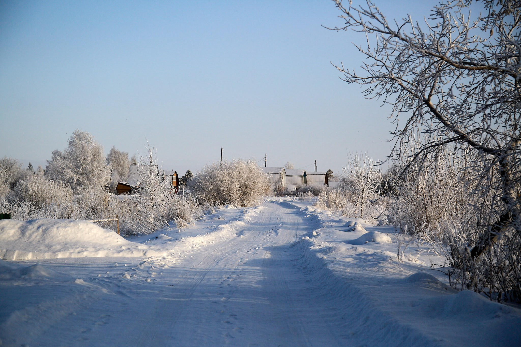 Предновогодняя сказка. Фотограф Омск | Александр Вандеров