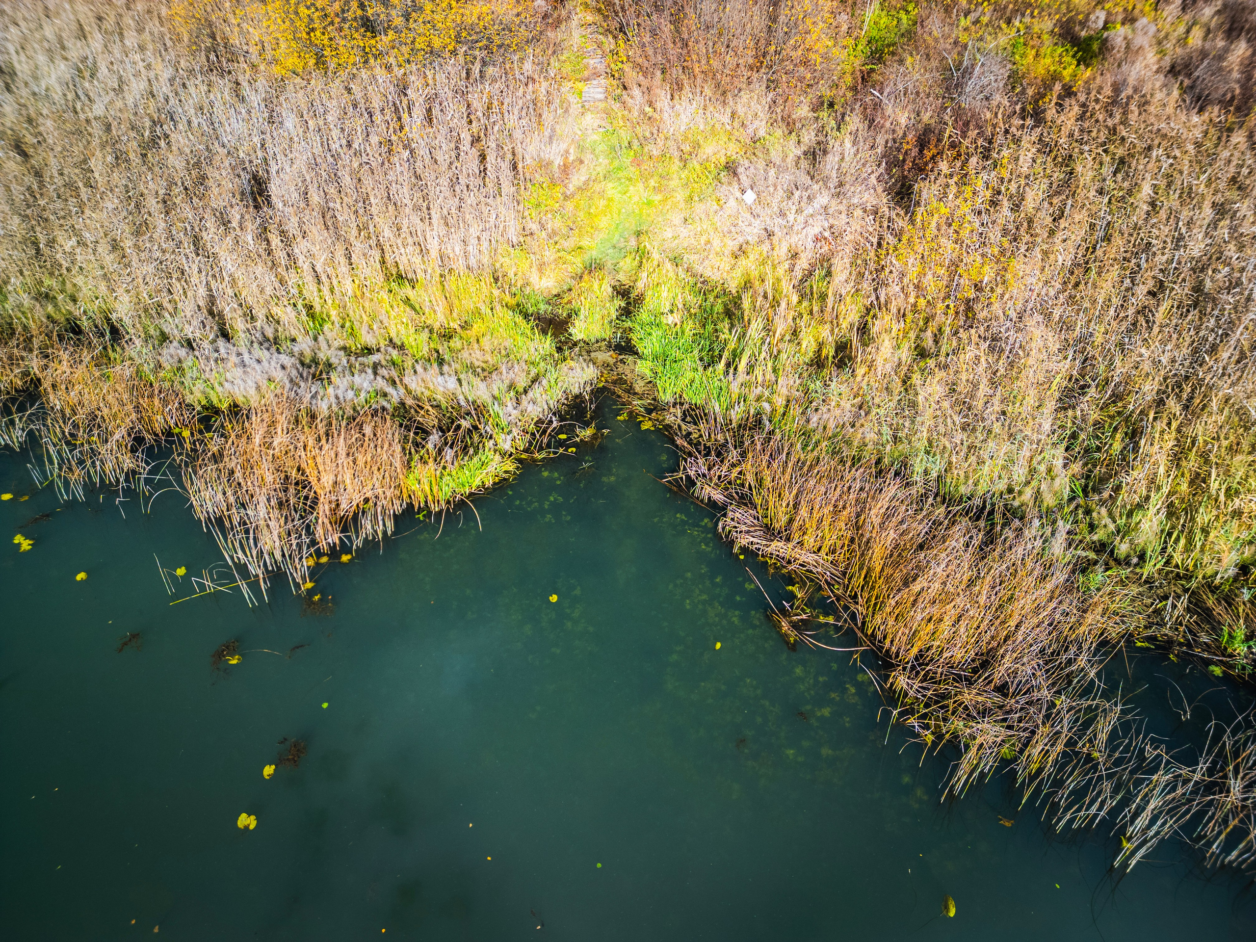 Дом на продажу № 1. DRONBERRY — Аэросъемка Ярославль