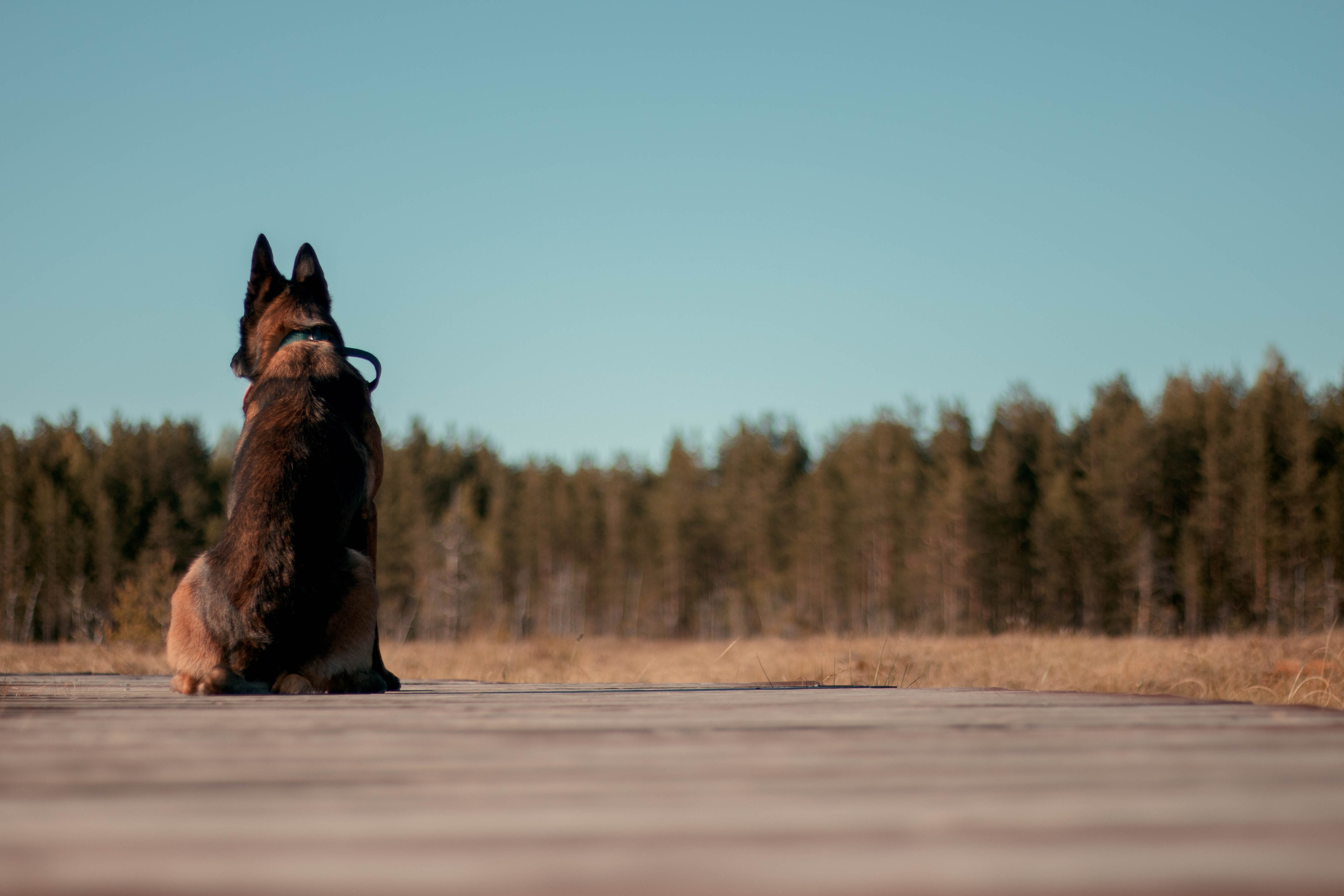 Дарья. Портретный фотограф в Санкт-Петербурге
