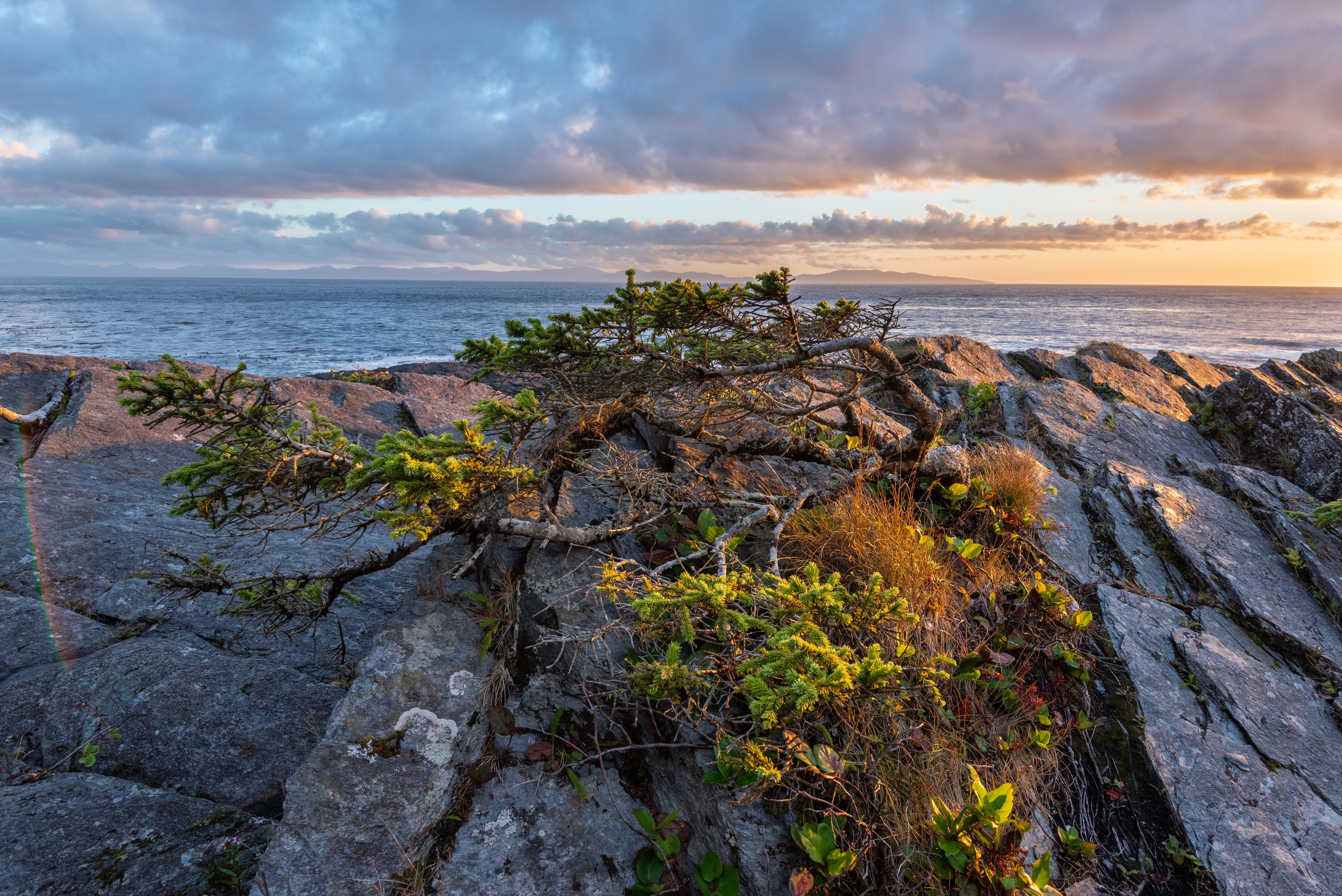 Осень в Канаде. Пейзажный фотограф Сергей Пестерев. Фото природы