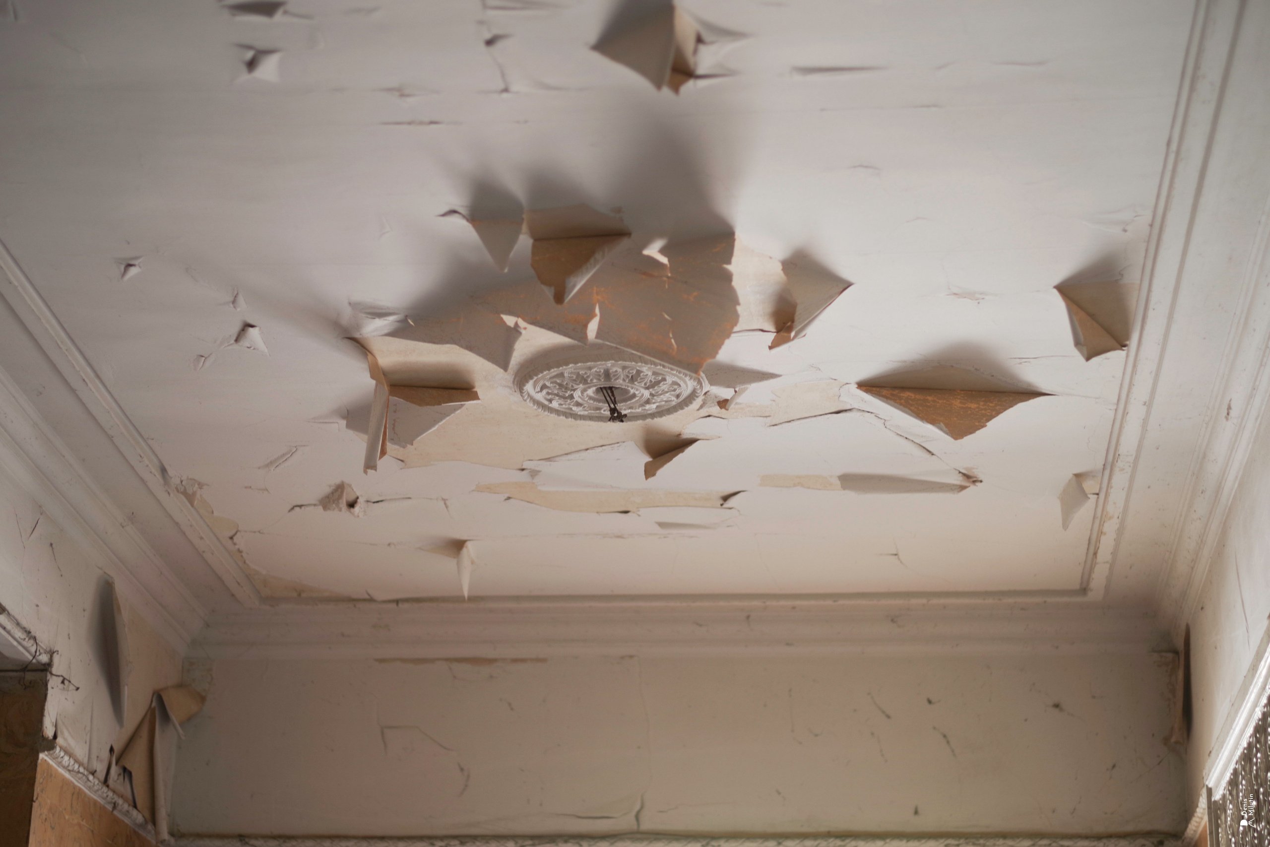 В отпуске с Артёмом. Портретный фотограф Денис Милютин