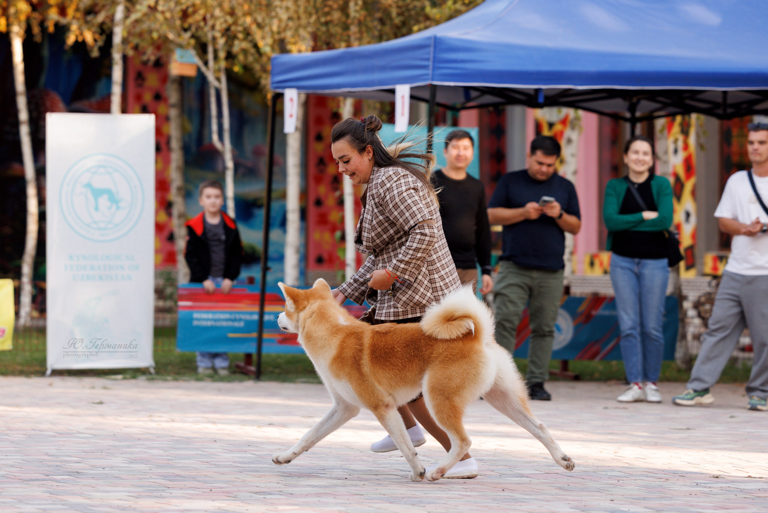 Ташкент 3хCACIB 3-5.10.2025. Фотограф-анималист Юлия Германика
