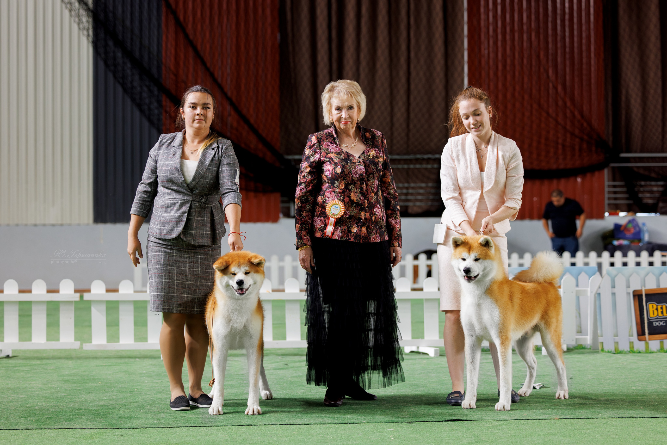 Ташкент 3хCACIB 3-5.10.2025. Фотограф-анималист Юлия Германика