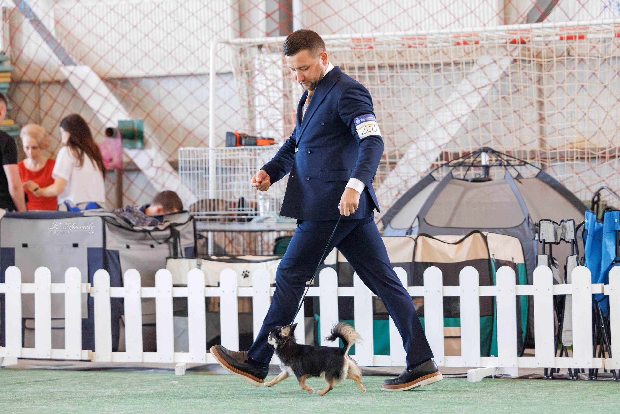 Батуми 3хCACIB 27-29.06.2025. Фотограф-анималист Юлия Германика