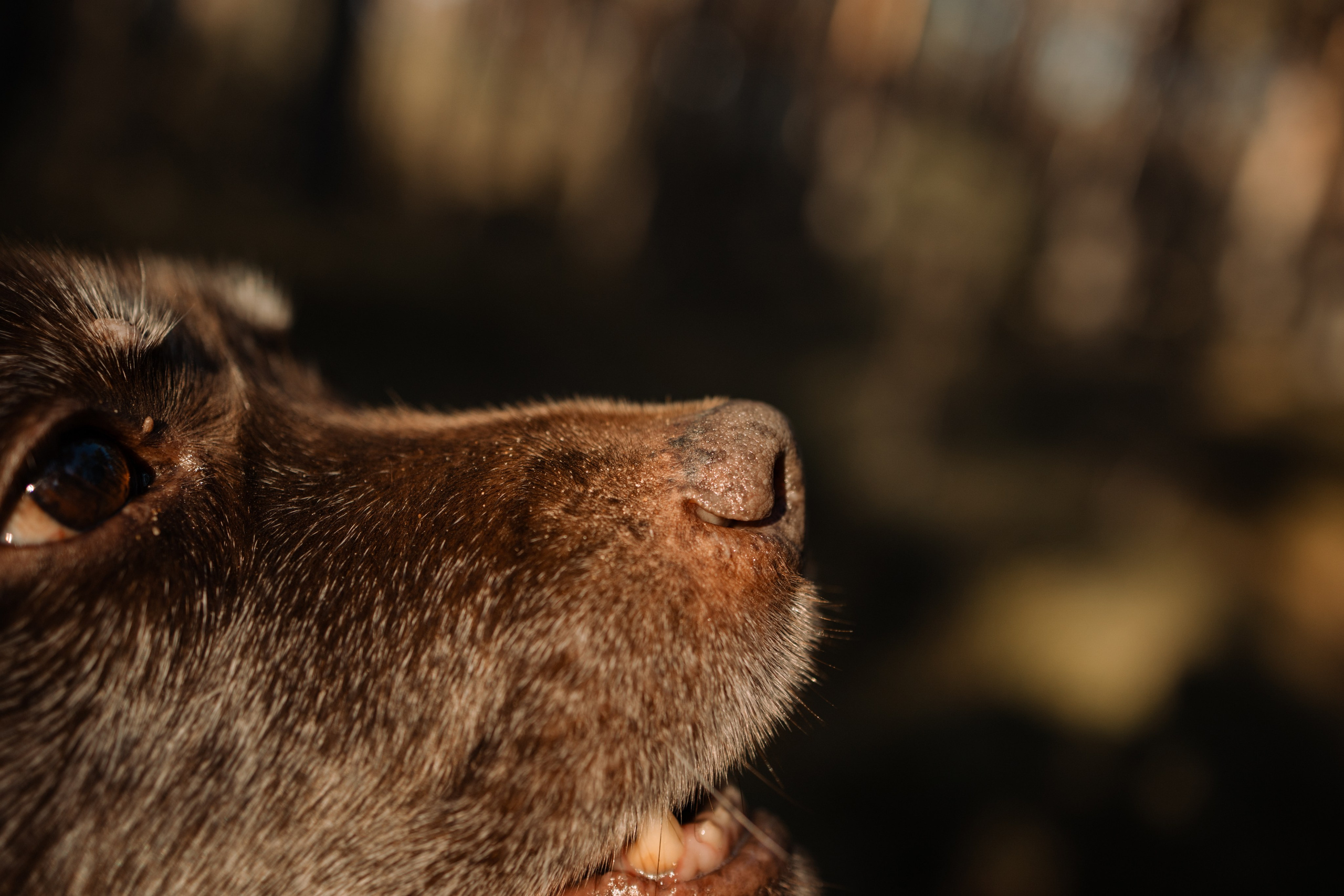 Оля и Питоня. Фотограф — Анималист | Санкт-Петербург