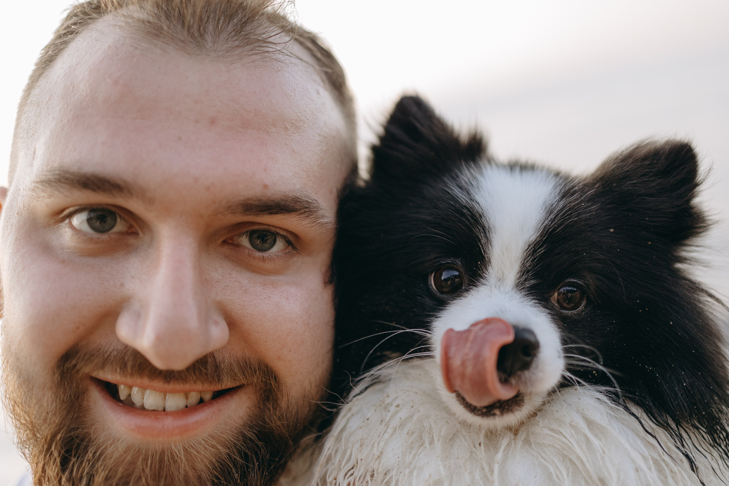 Диана и ее мальчики. Фотограф — Анималист | Санкт-Петербург
