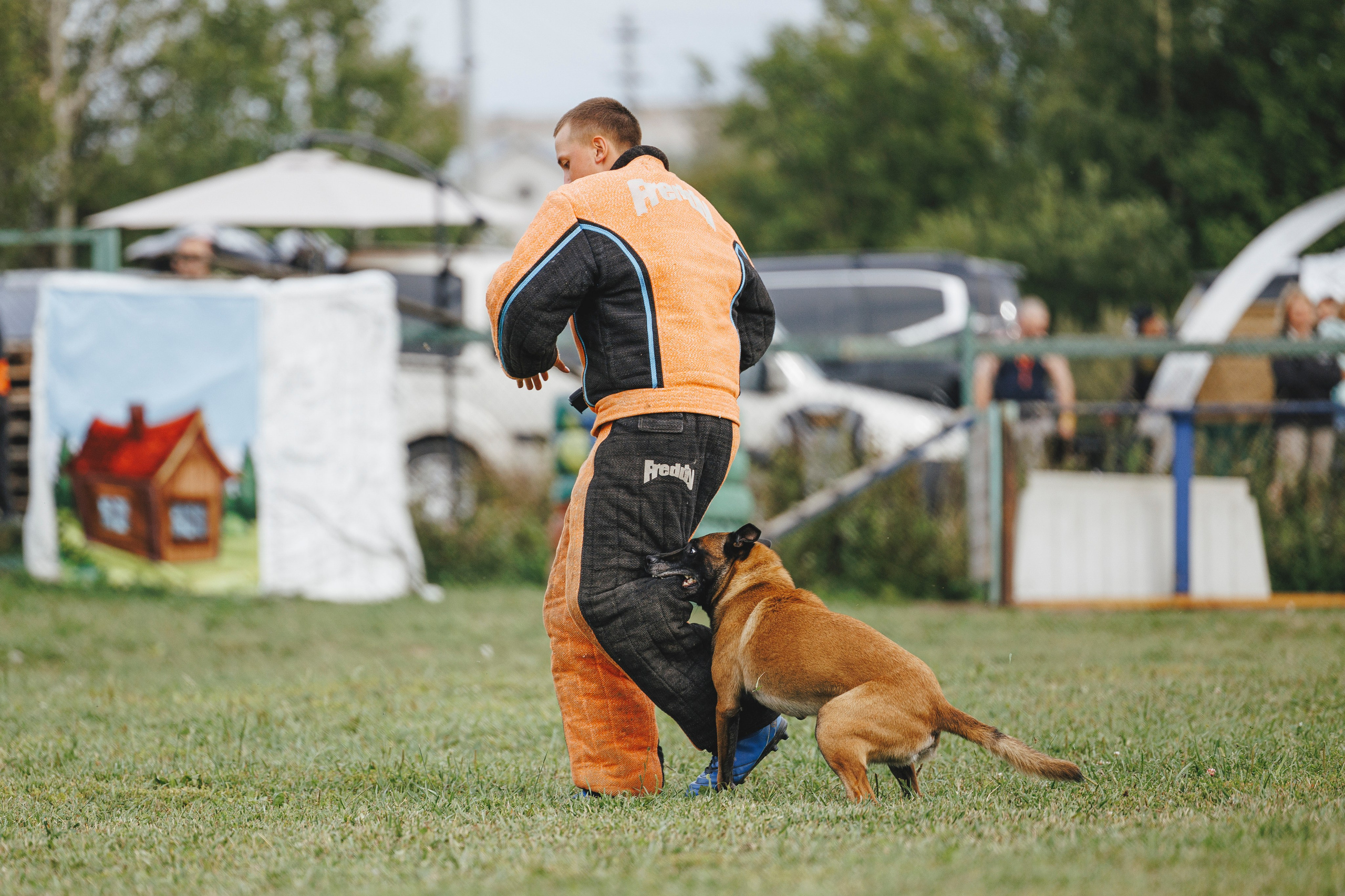 08.08.25-10.08.25 ЧР по мондьорингу г. Вологда. Фотограф-анималист Анна Маринич