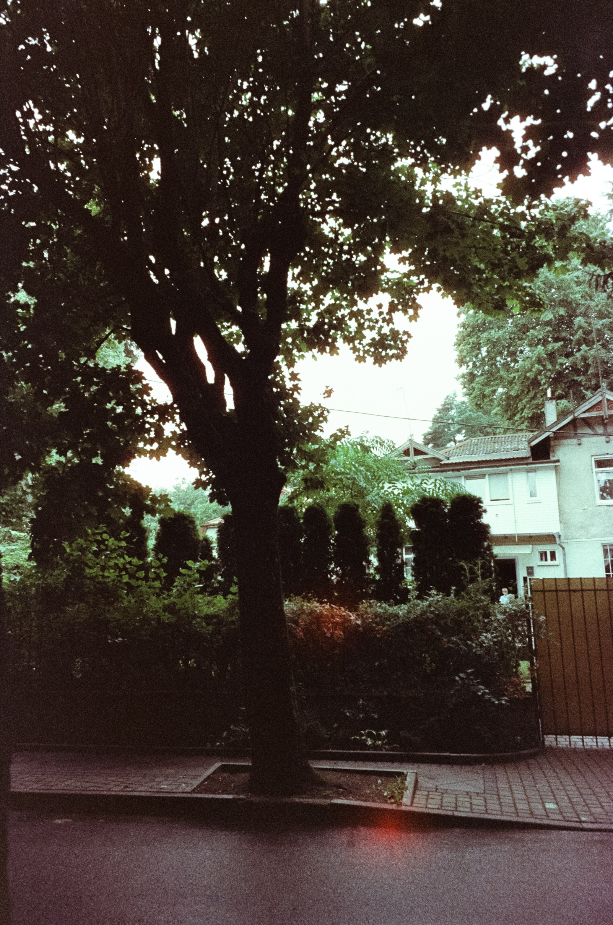 Арт-пространство Телеграф в Светлогорске. Фотограф-документалист Мария Осокина