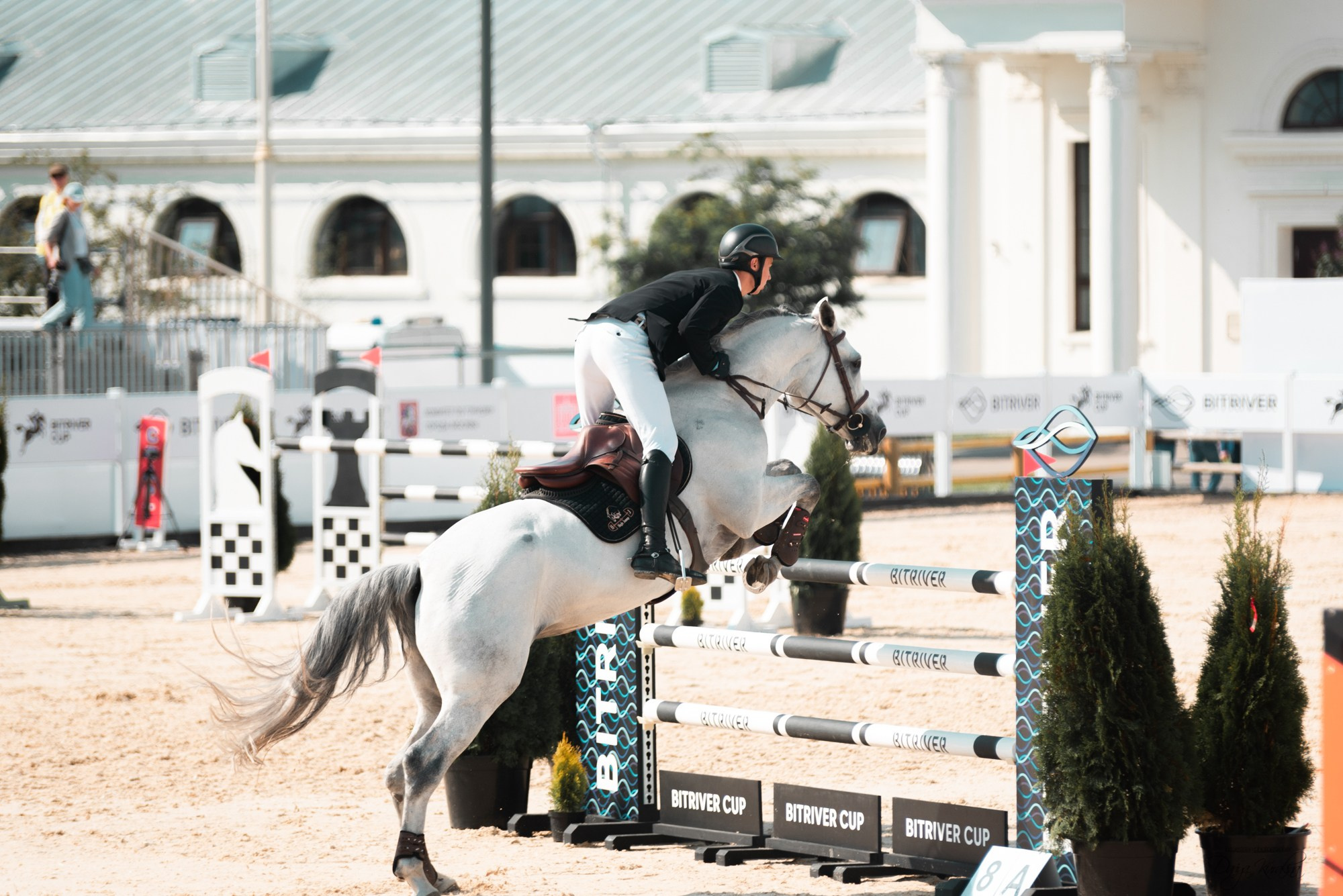 BITRIVER CUP 2023. Конный фотограф Куракина Дарья • Фотосессии с лошадьми