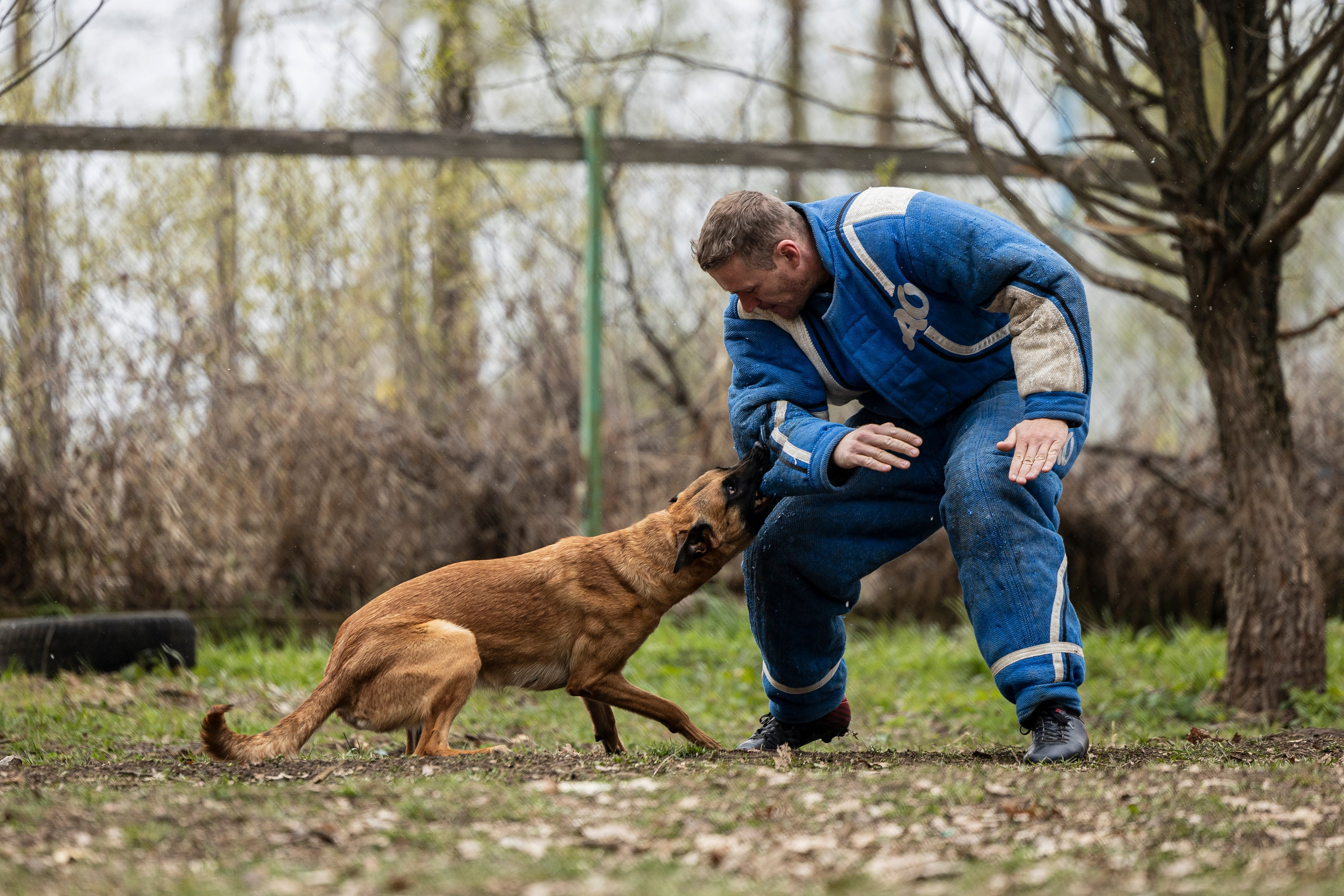 Квалификационные состязания по мондьорингу г. Вологда 11.05.24. Фотограф-анималист Анна Маринич