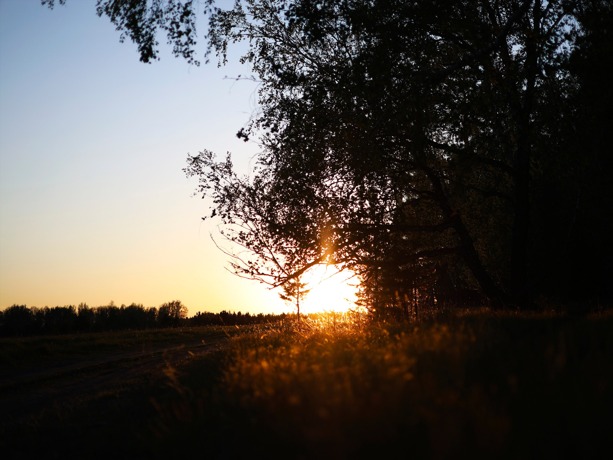 Фотограф | Видеограф в Кургане, Тюмени и Челябинске