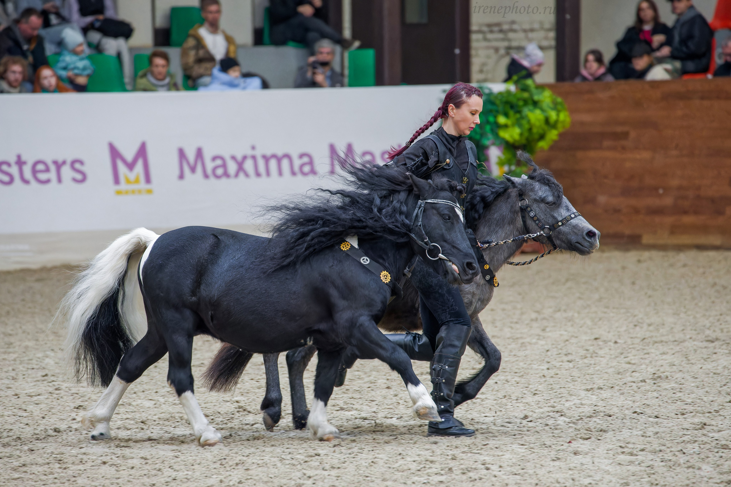 Конная Россия 2024. Irenephoto.ru