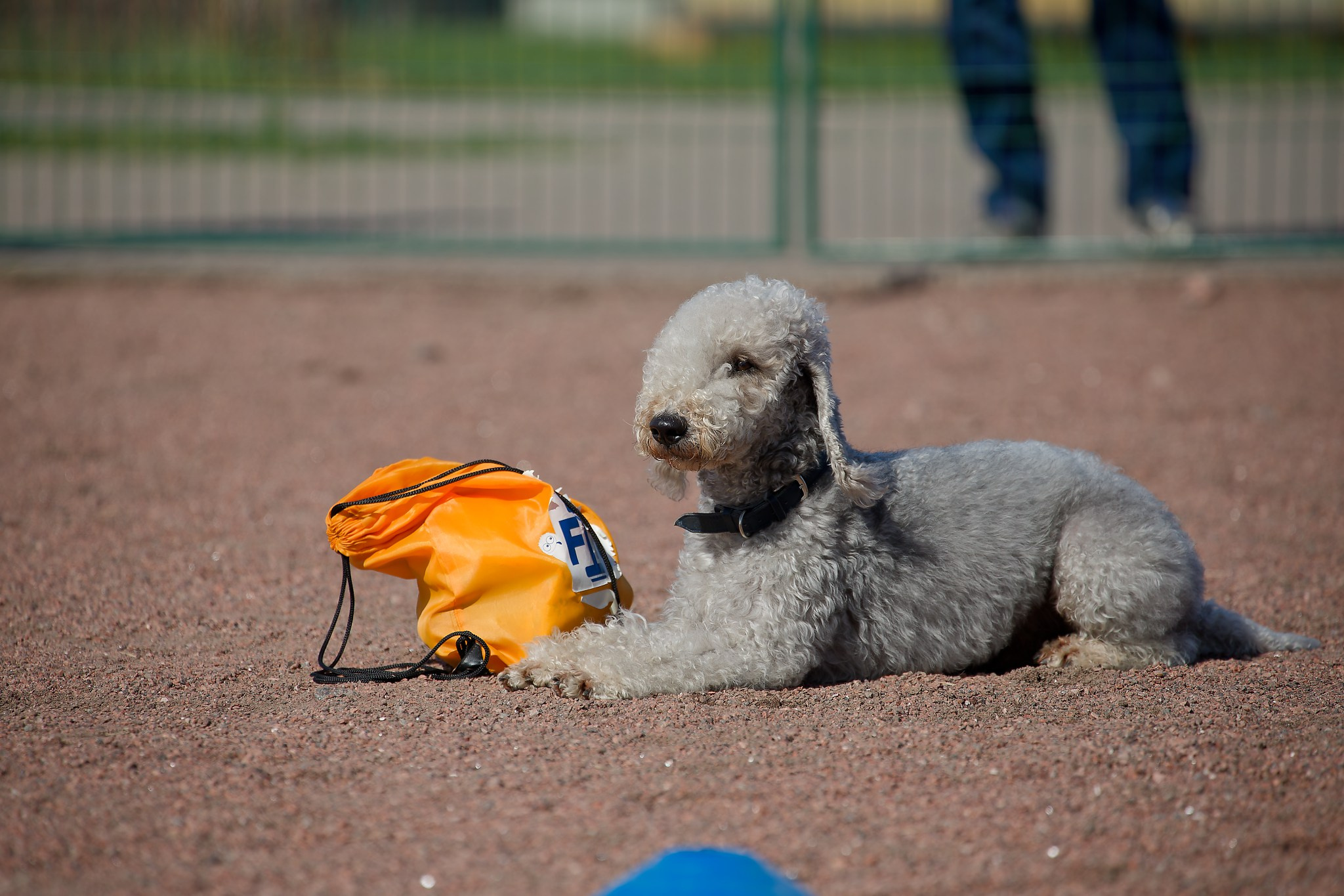 Турнир «Место». Irenephoto.ru