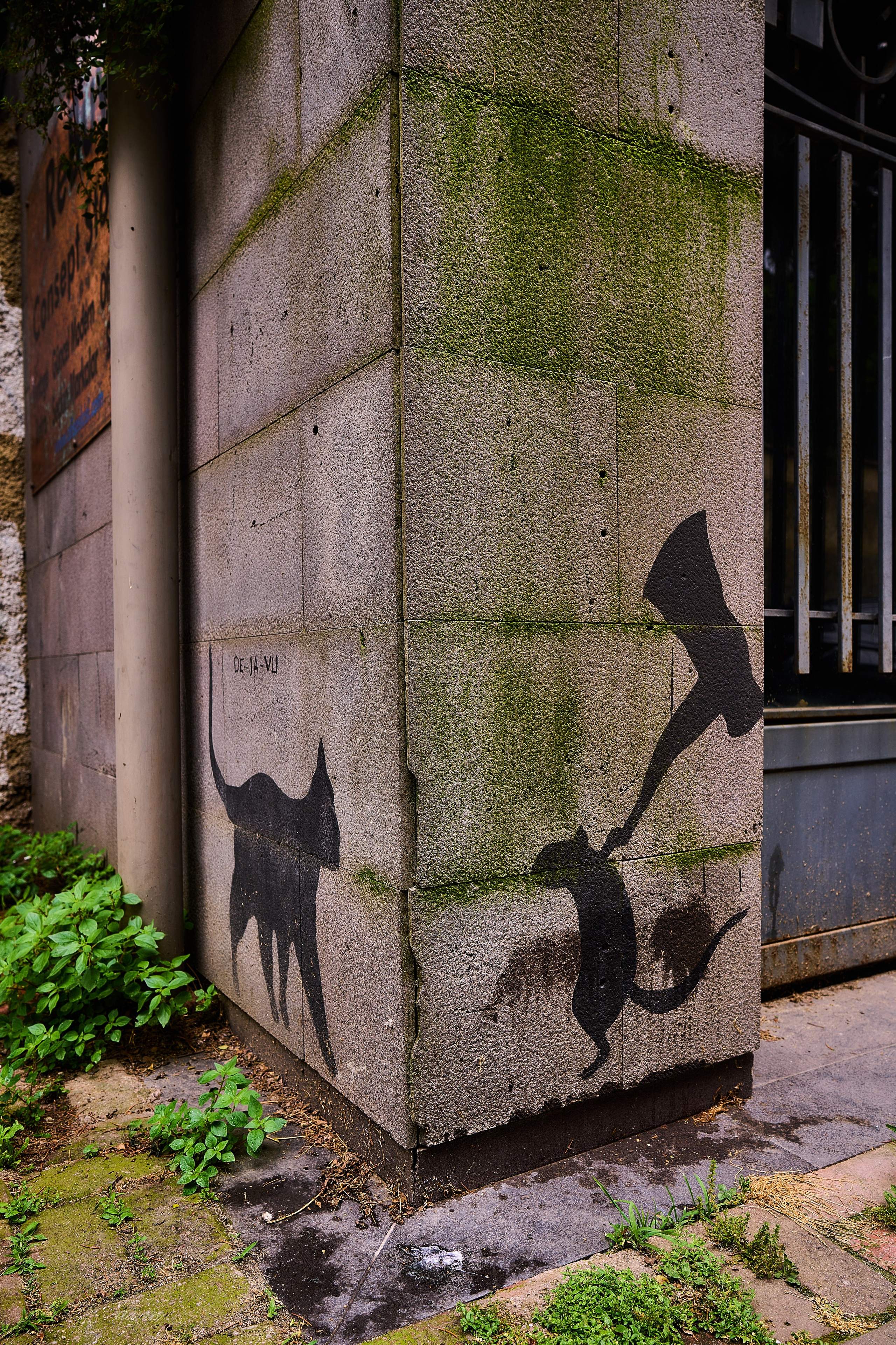 Стамбул 2023. Фотограф Михеев Андрей