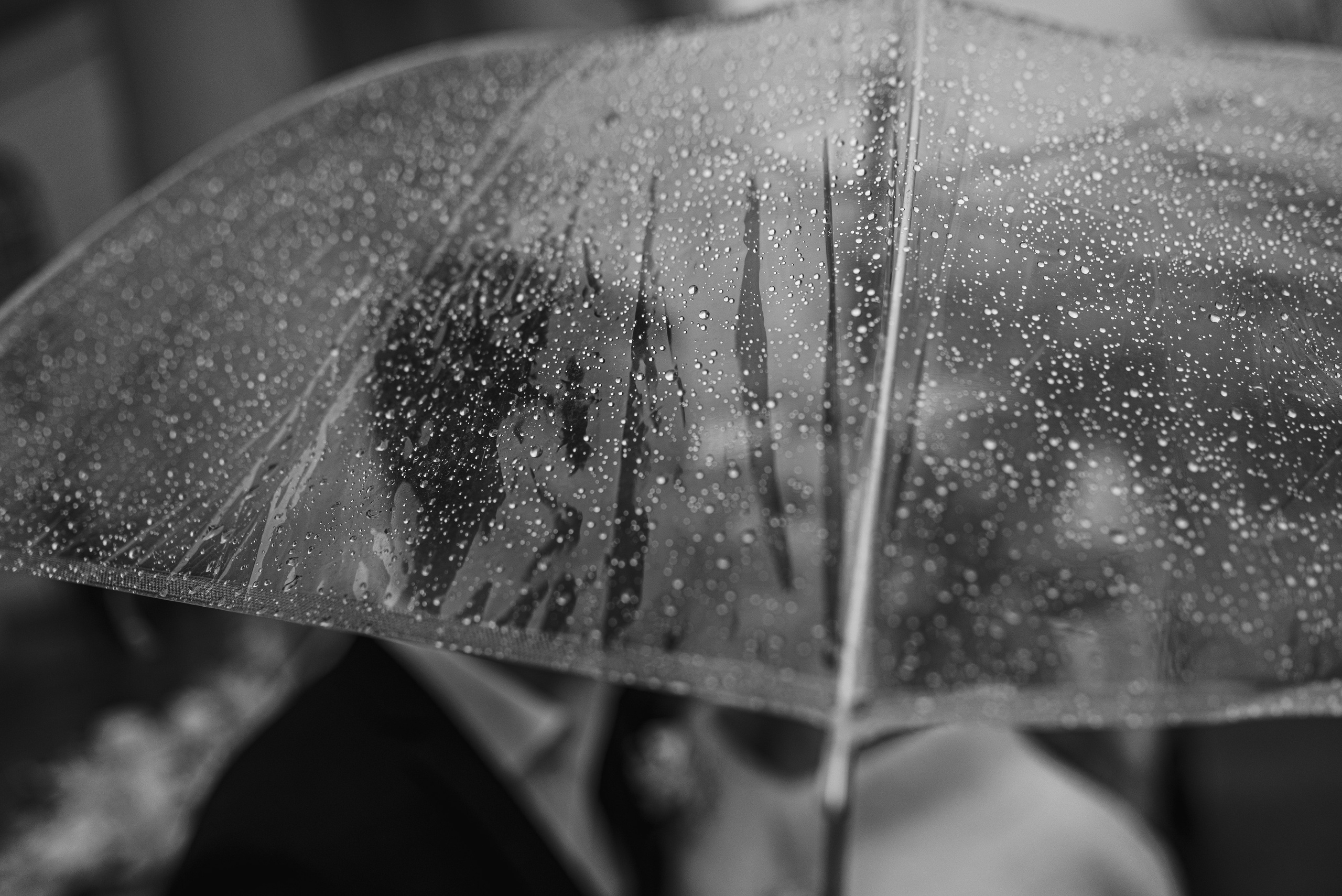 Свадьбы. Избранное. Фотограф в Каменске-Шахтинском Ольга Сагал