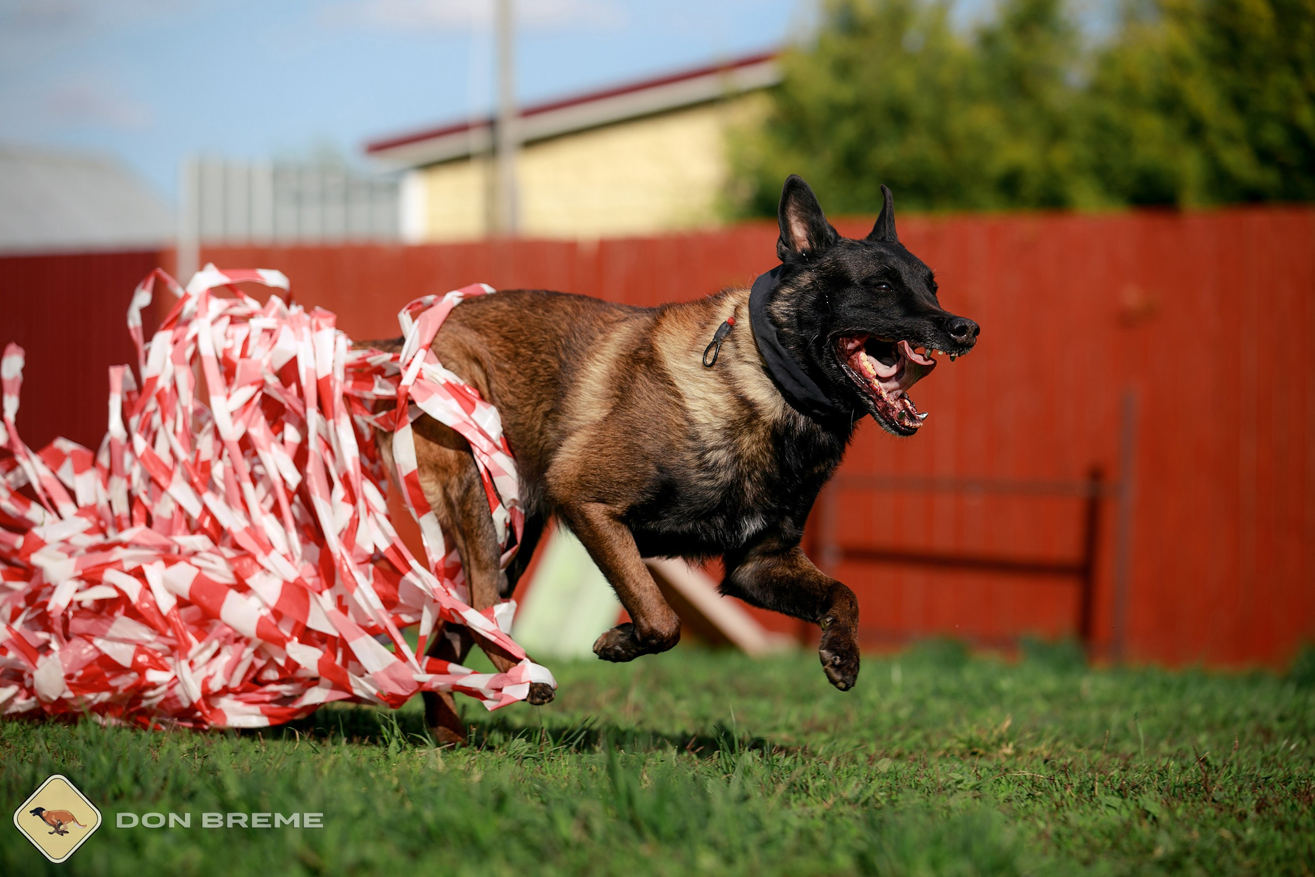 Семинар для фигурантов, день 2. Фотограф-анималист Mary Mart — Москва, Питер