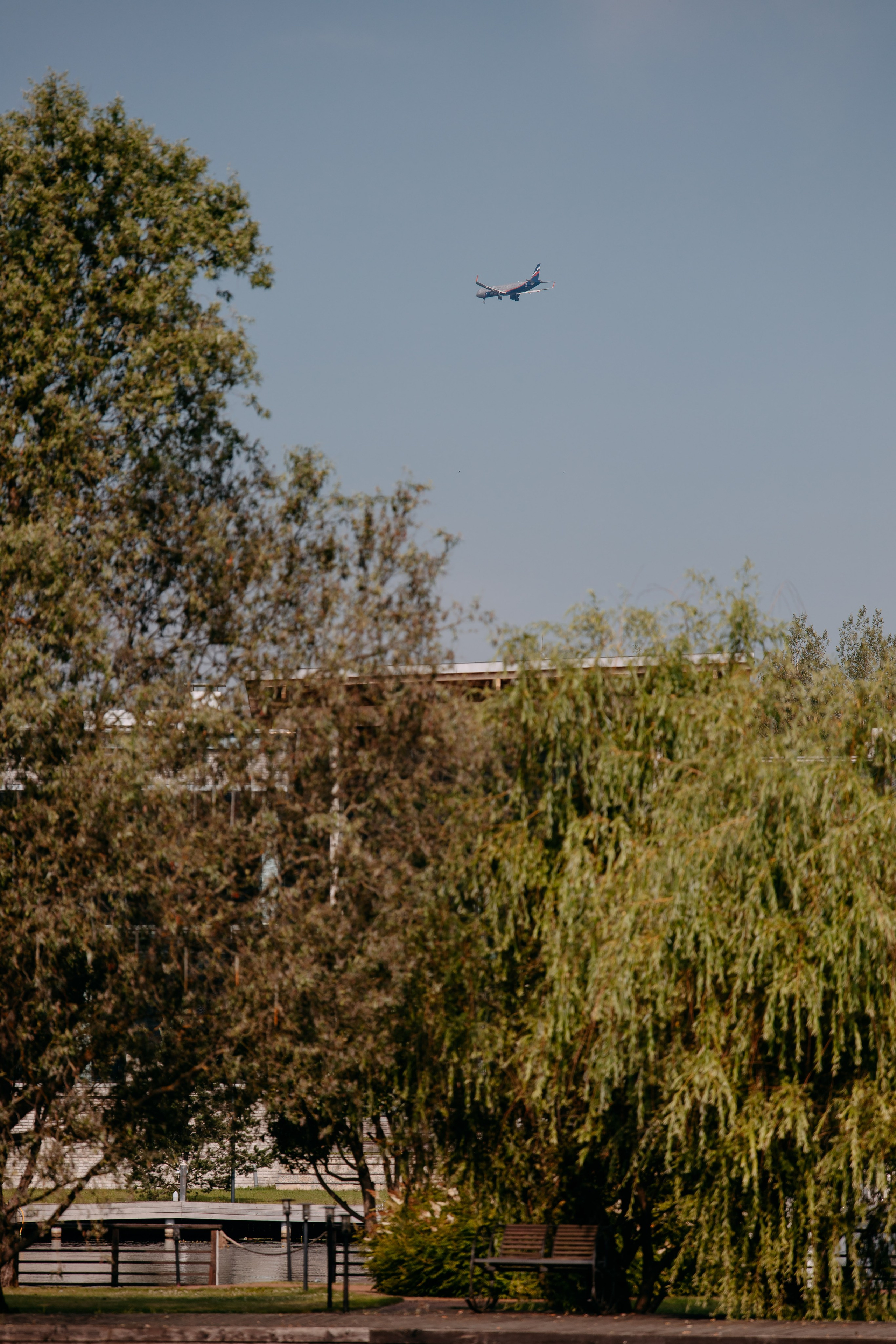 Тимбилдинг Самолет. Фото и видео съемка. Андрей Ионов