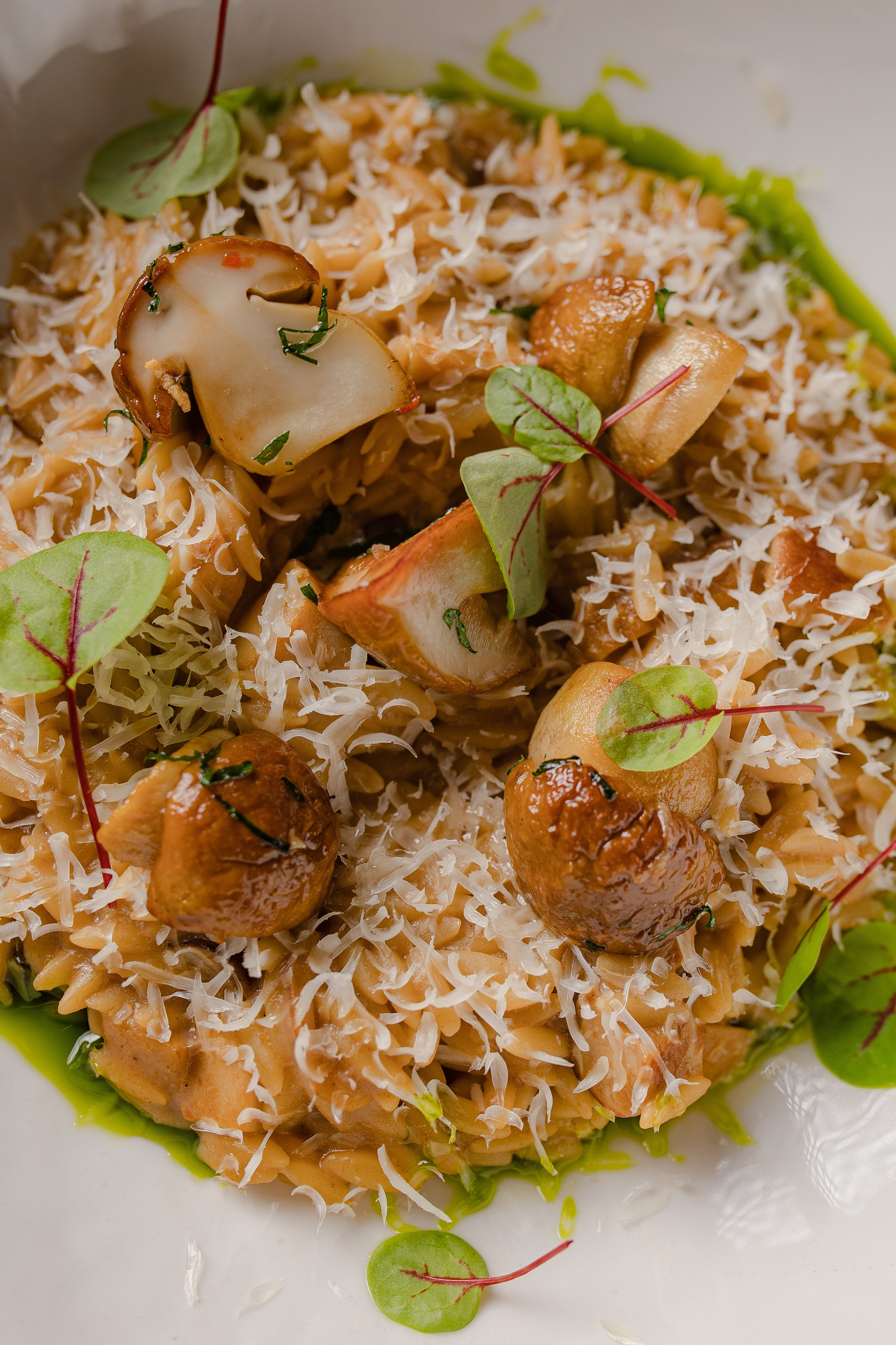 ПИФАГОР. Фотограф Агеева Мария