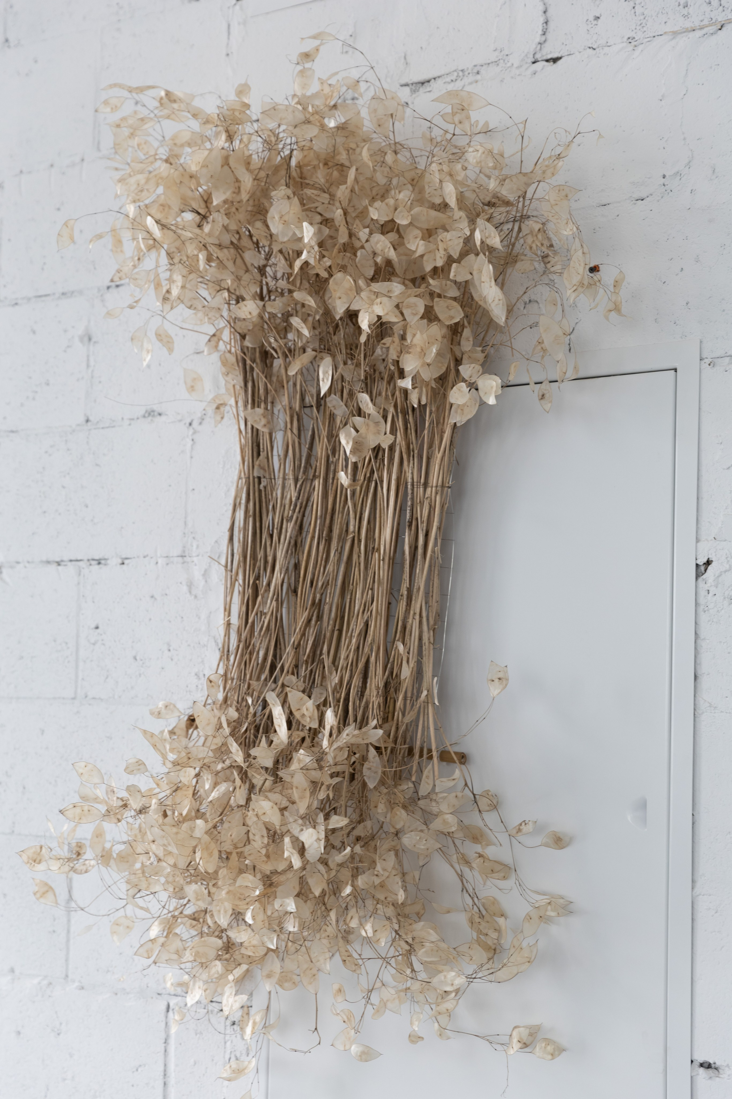 Оля & Михаил. Яна Чхан — Фотограф в Донецке и не только