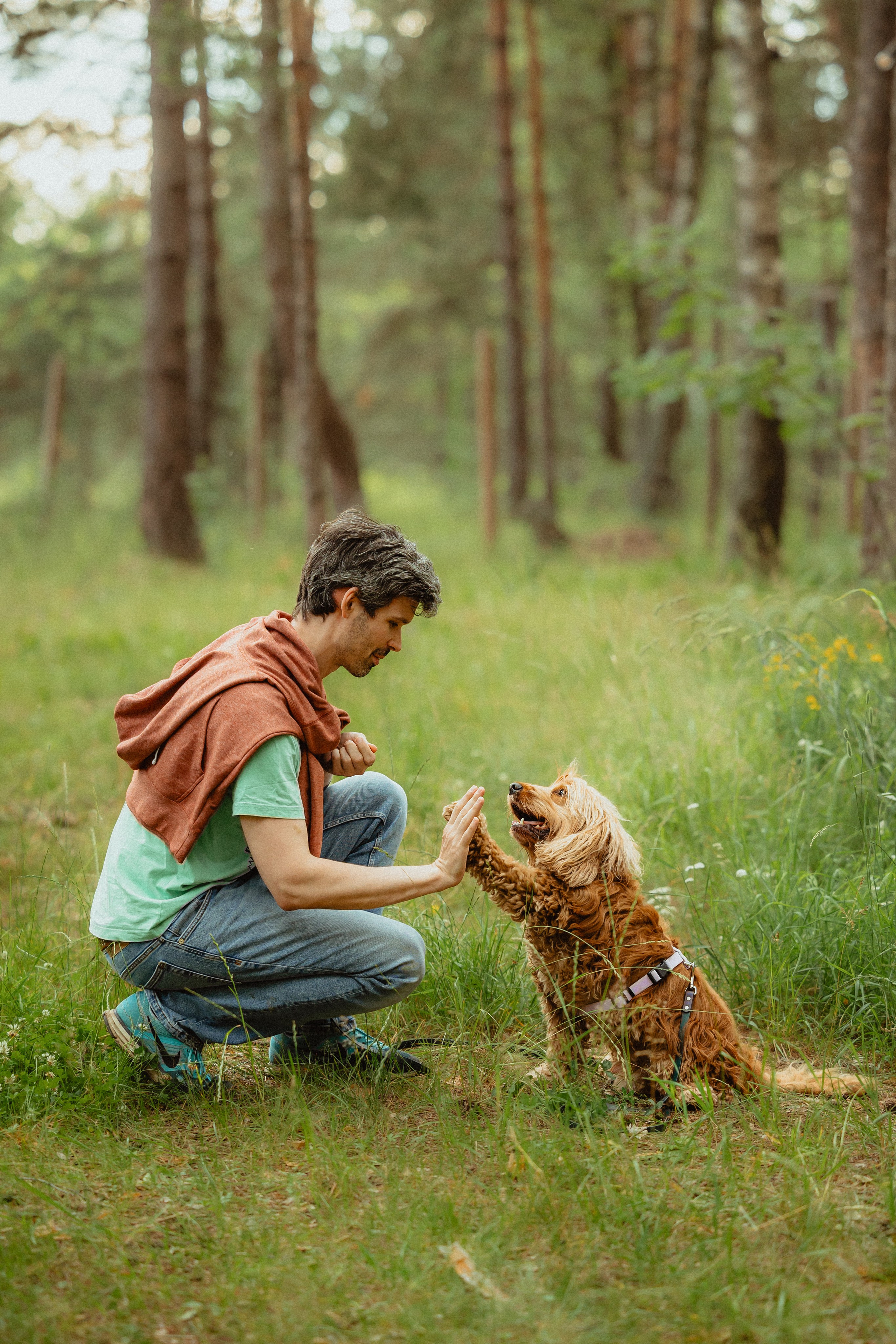 Выездной дог-тренинг от школы «Шерсть имею»