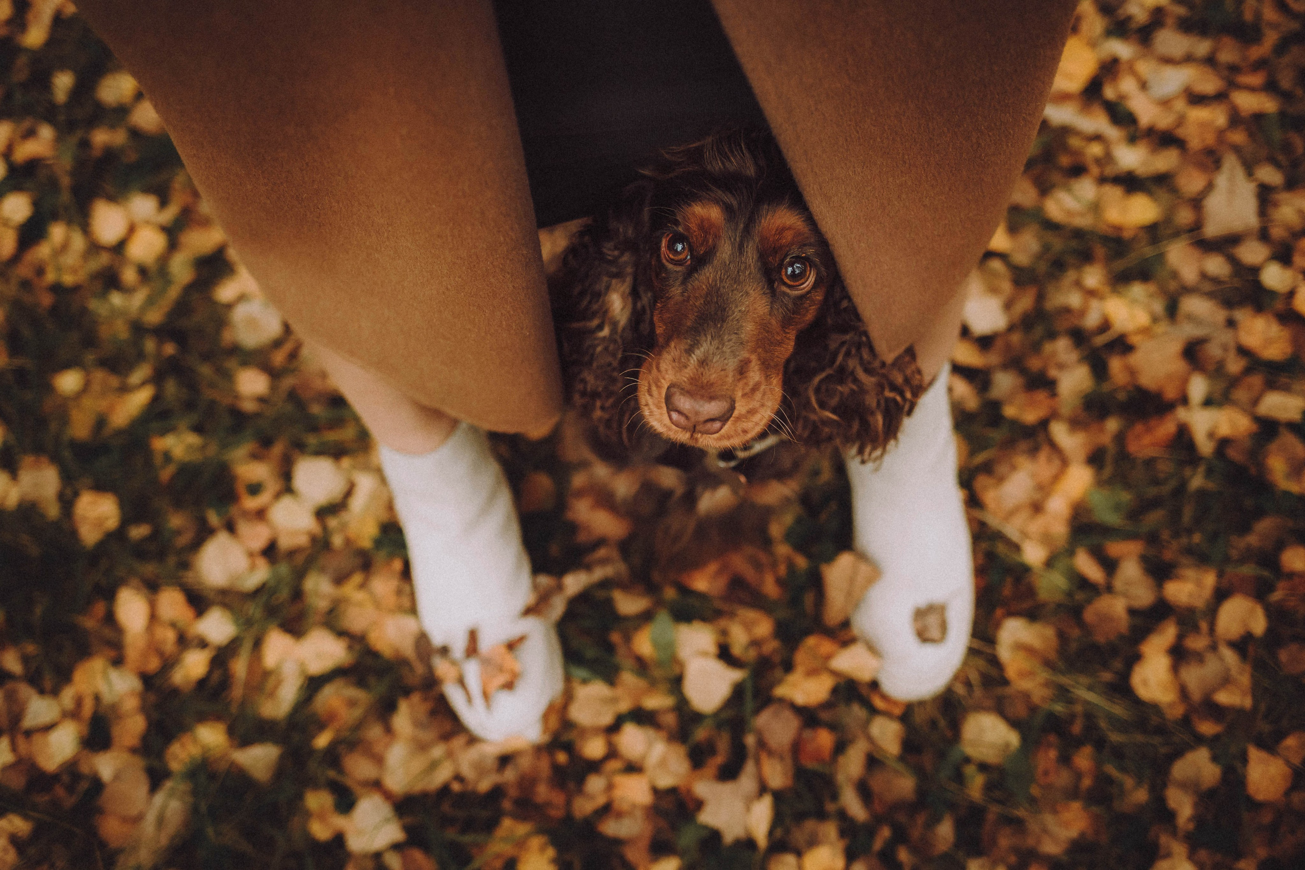 Настя, Саша и Эстер