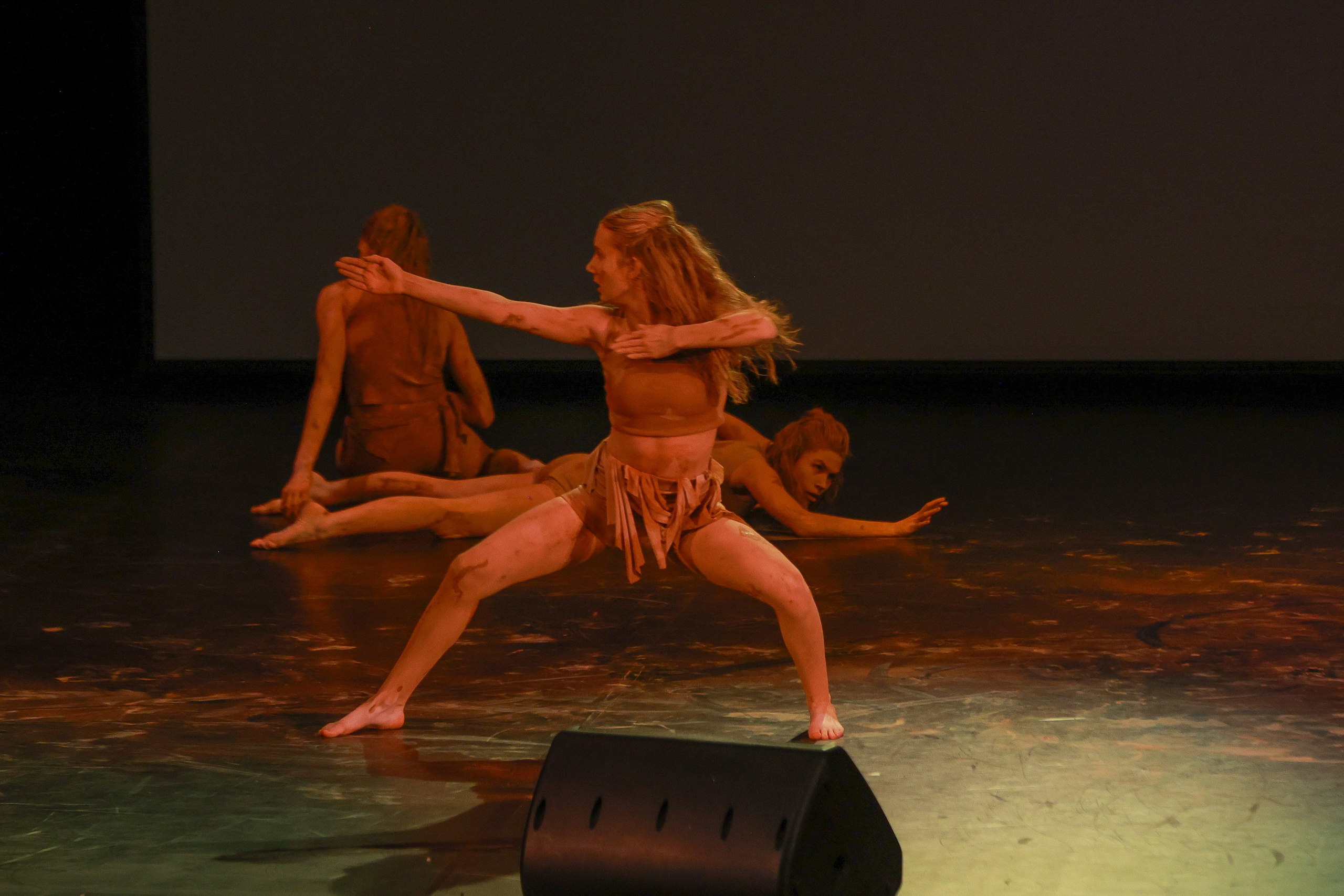 Небесные ласточки на Танц ЭКСПО 2026. Фотограф Юлия Мальцева