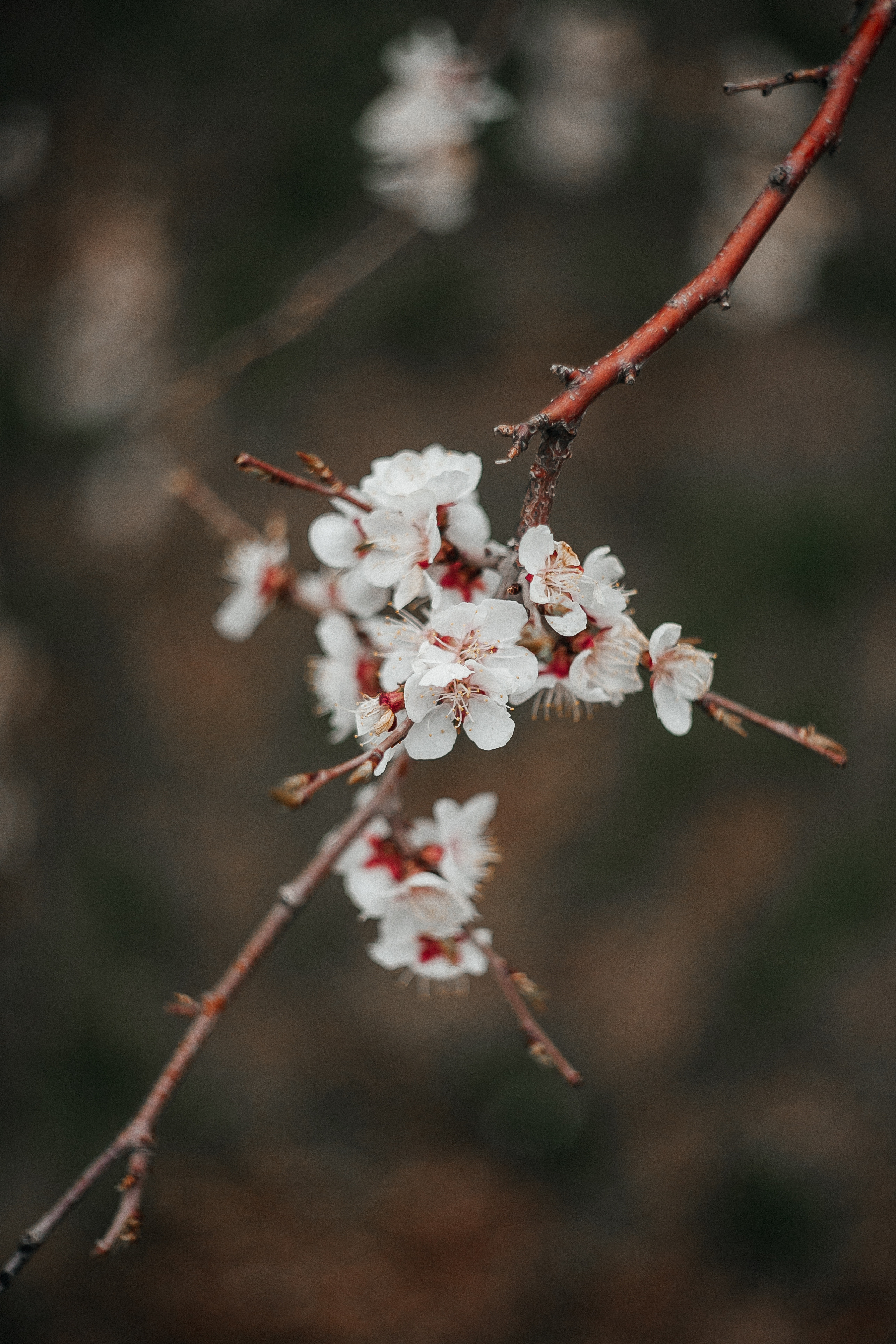 Фотограф Калининград отзывы. Репортажный и индивидуальный фотограф в городе Калининград