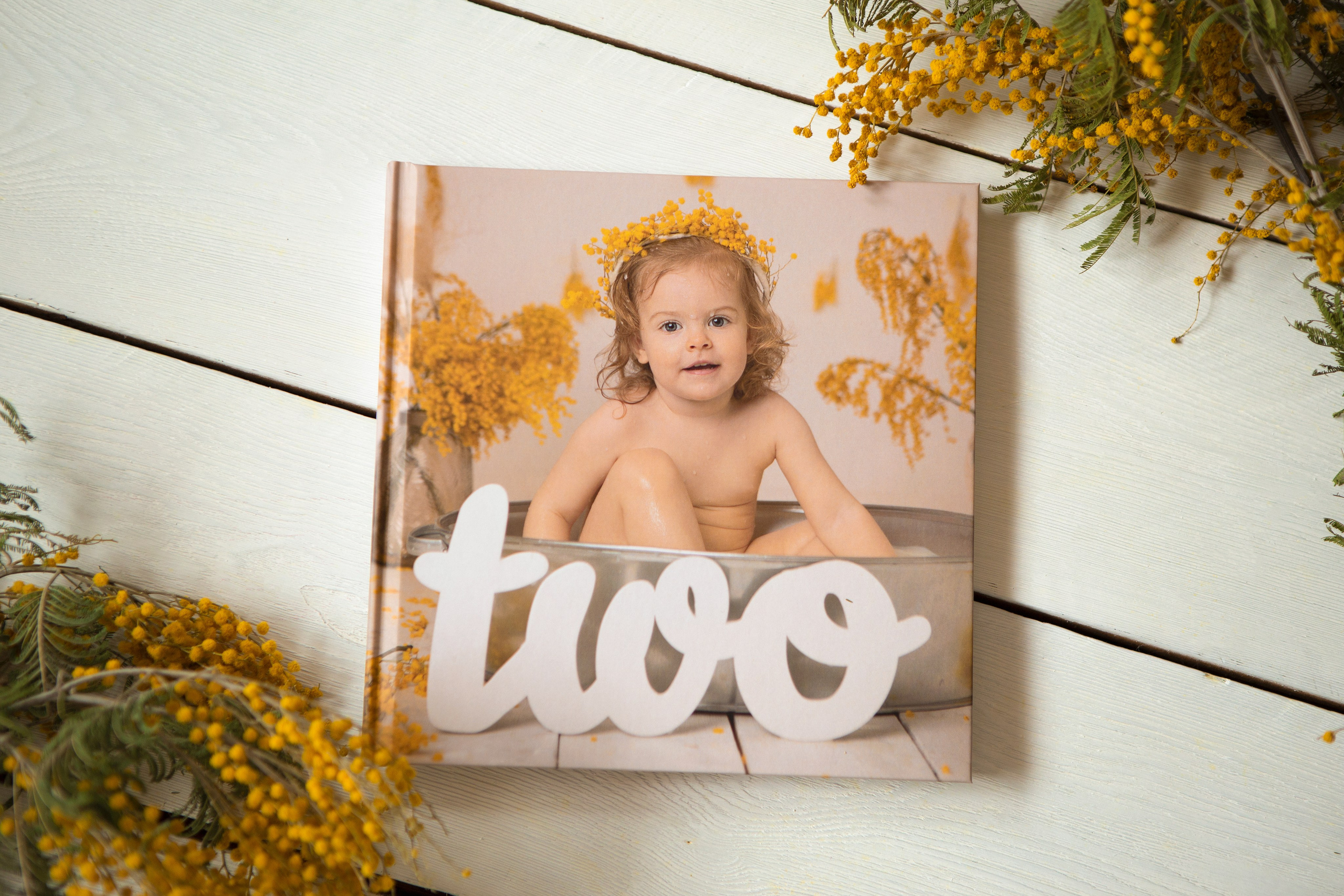 Книги Фабрика. Семейный фотограф Дарья Дзюбинская Раевская Анапа Новороссийск