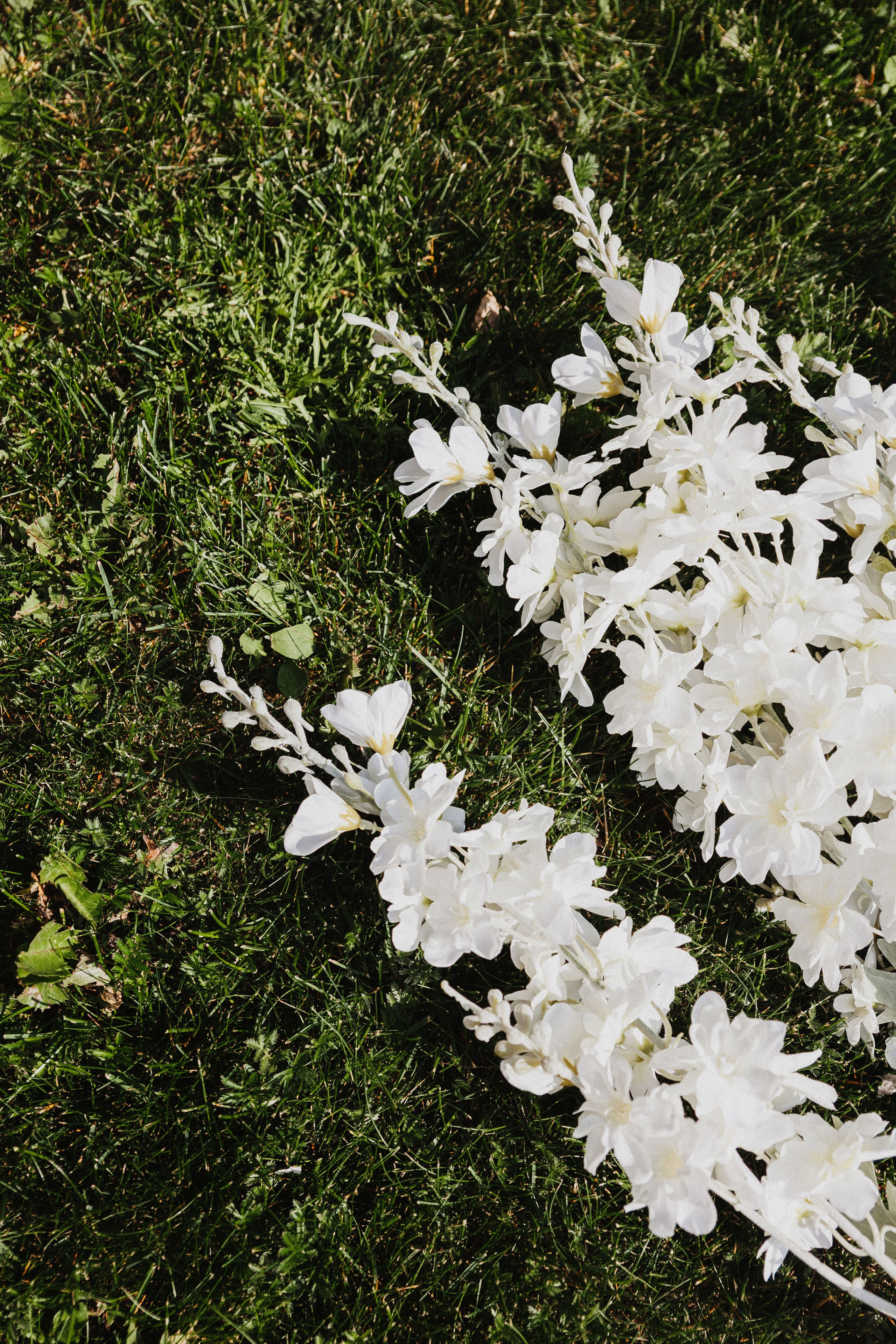 Волгины. Фотограф ЕКБ