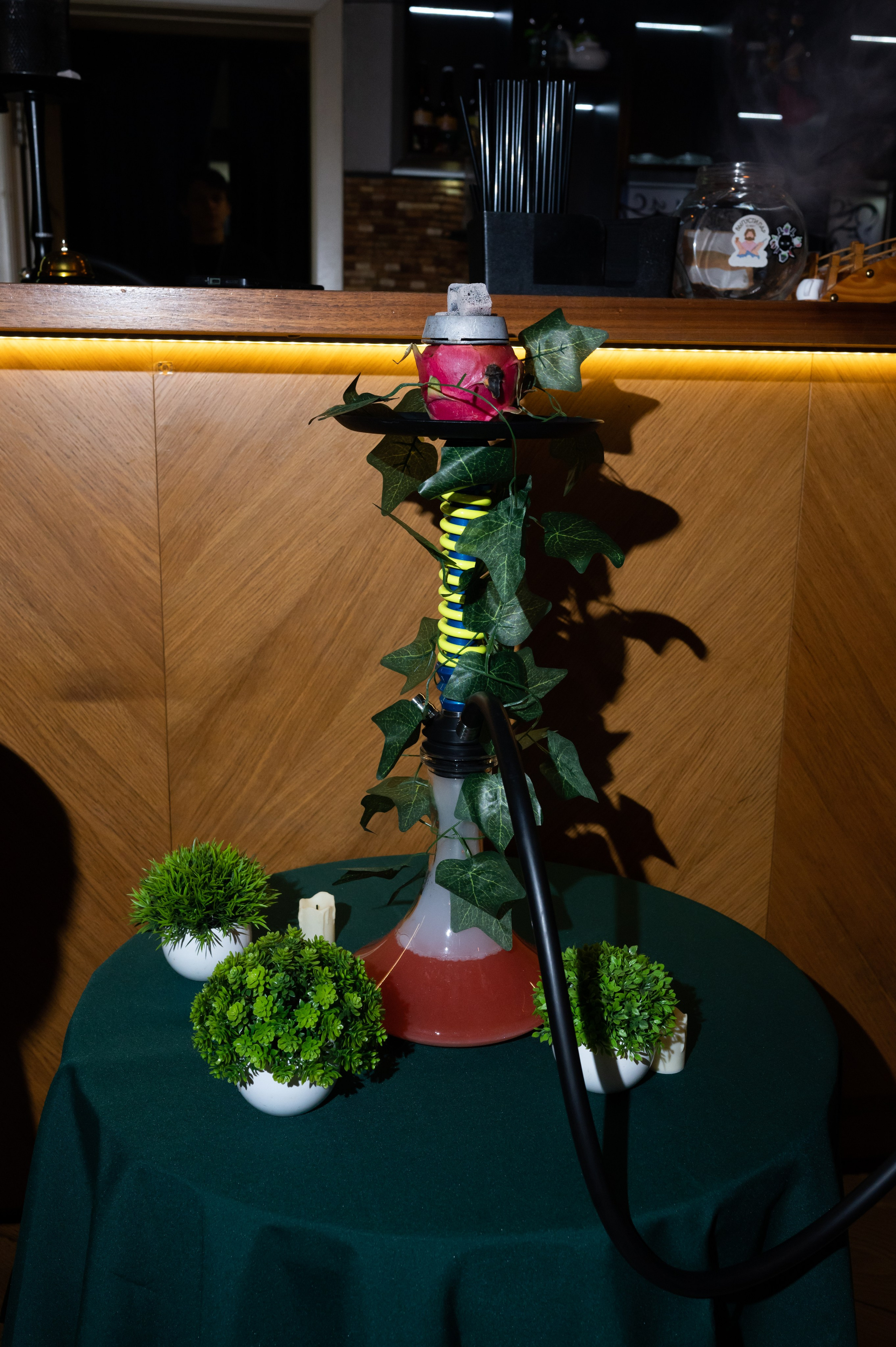 Хоттабыч. Фотограф в Санкт-Петербурге Anna Balashkova