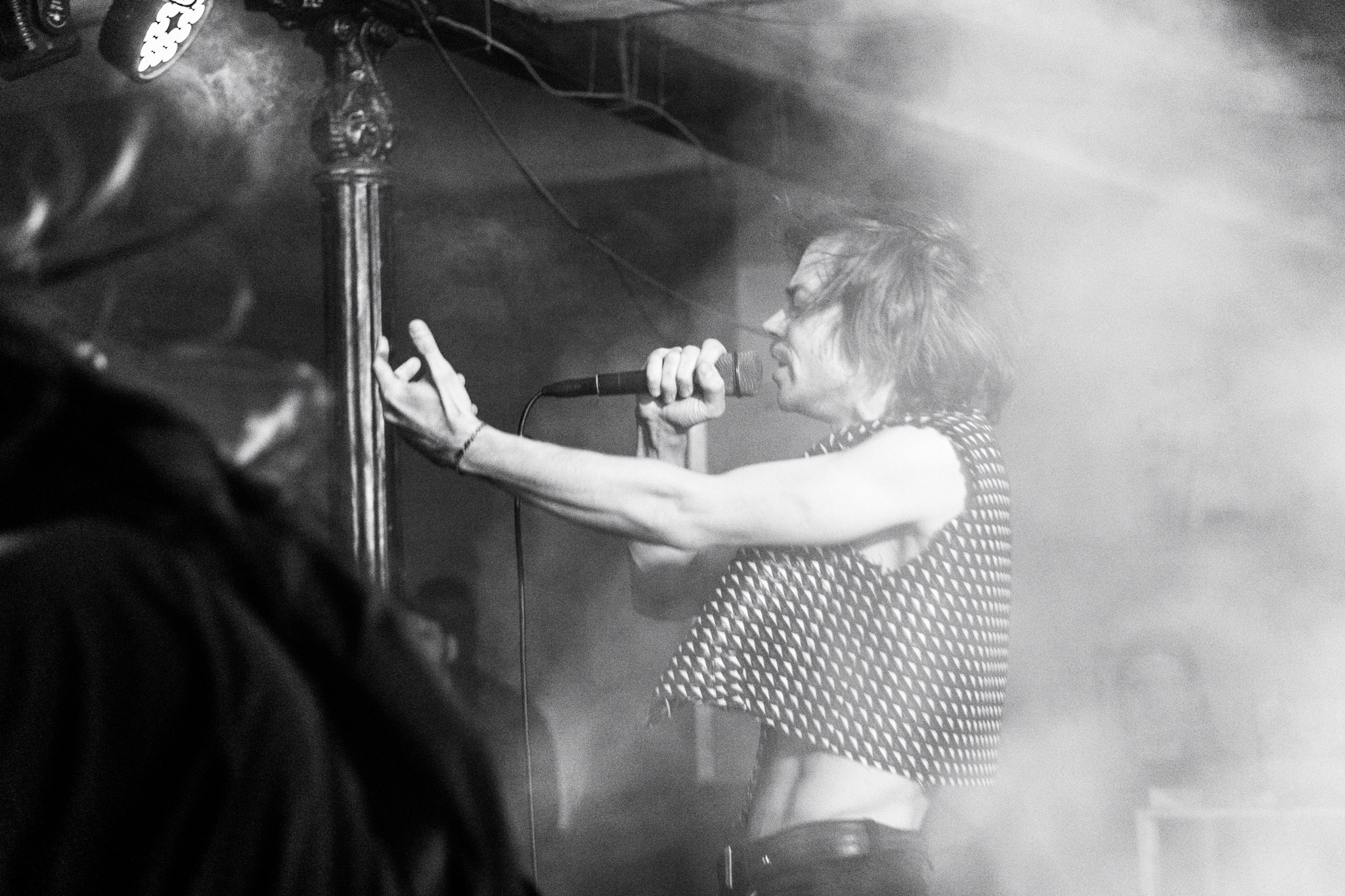 Змееед, Apodemus, 20.12.25, TAGO)))MAGO)))