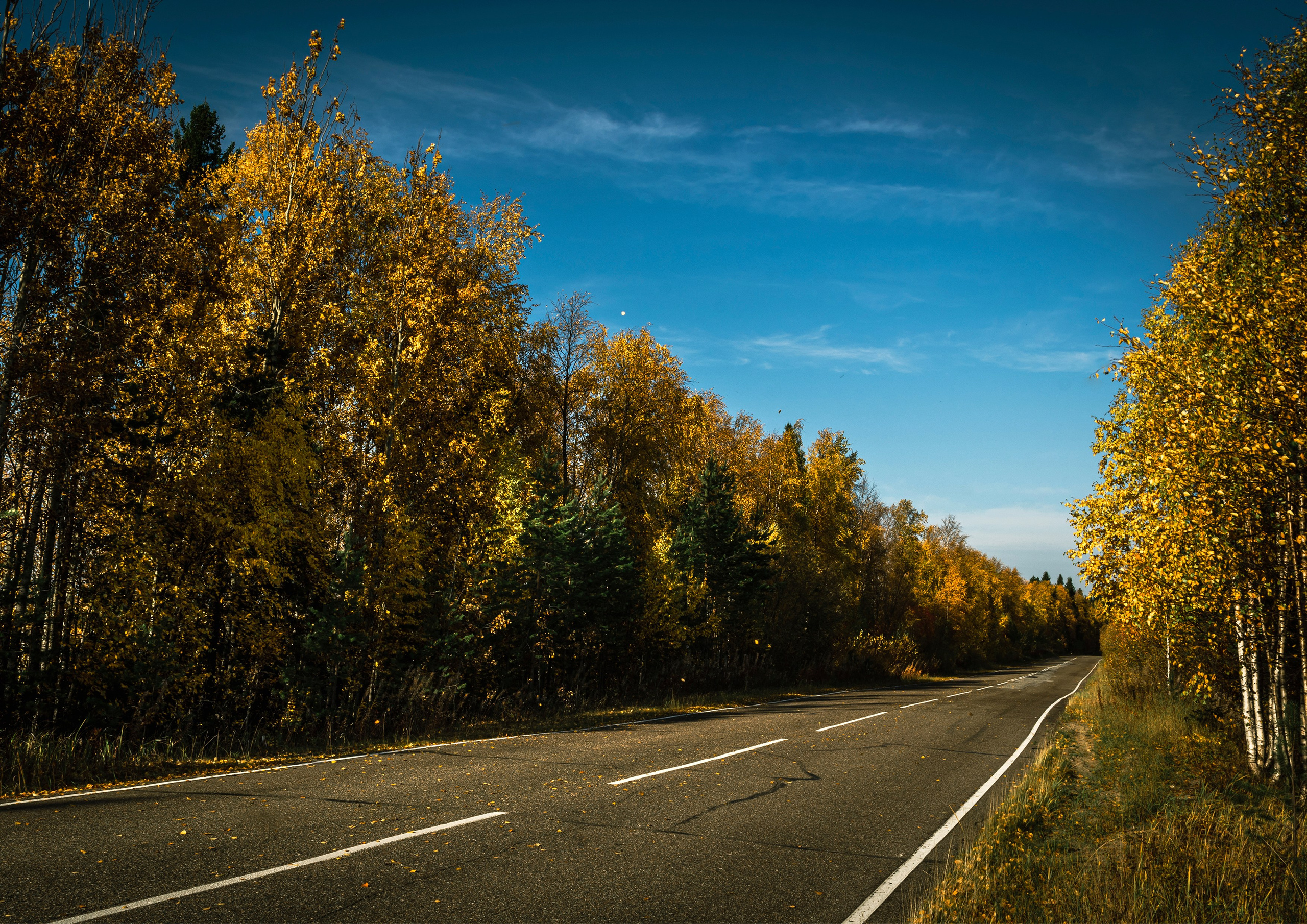 Осень. Фотограф в с. Ижма Республика Коми Терентьев Сергей