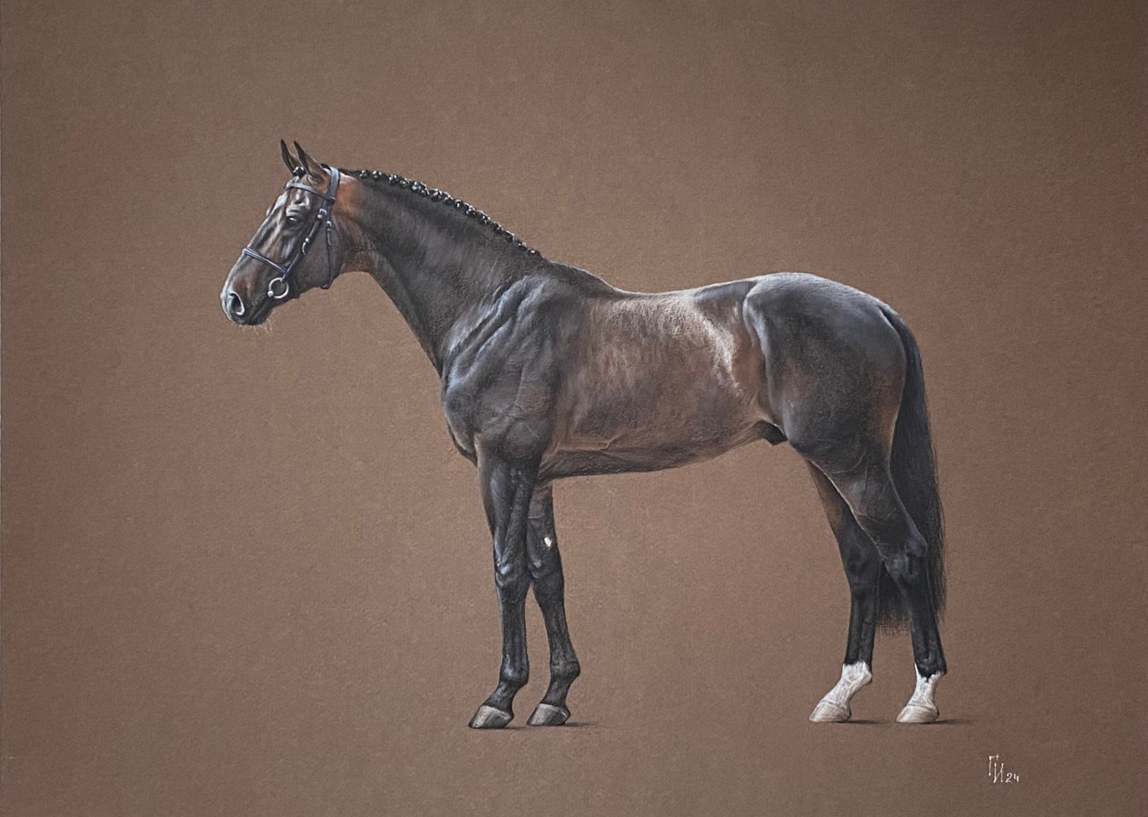 Вестфальский жеребец, Пастель, 45x35.Работа по МК.