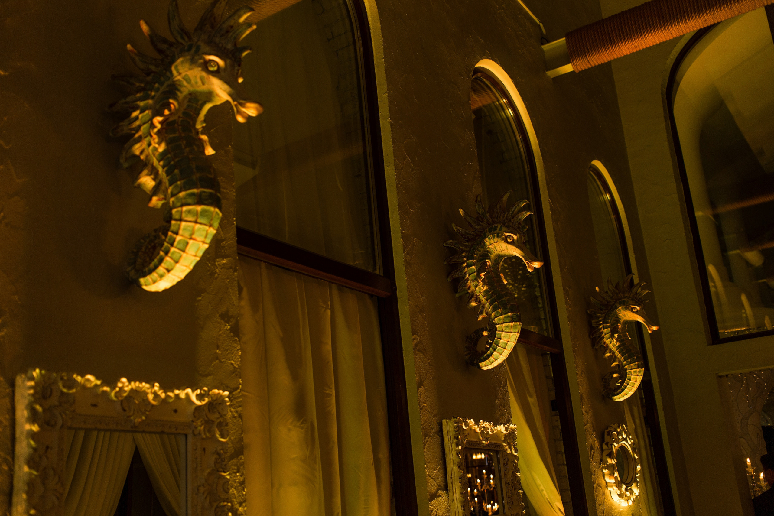 Fashion TV — La Marée. Фотограф и Видеограф в Москве. Олег Корушев