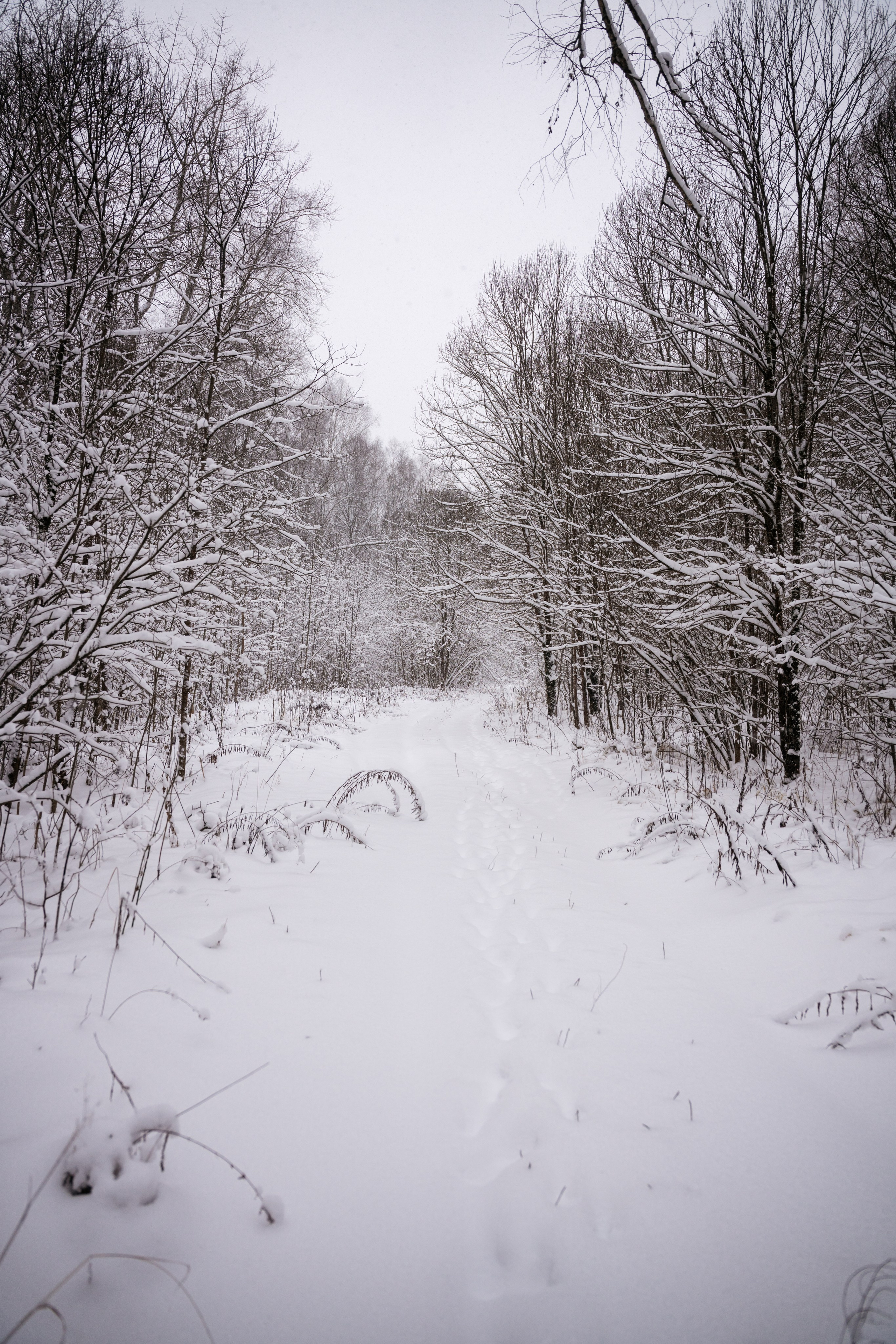 Поездка к р. Песочня и деревне Раевское. Vlad Trykov