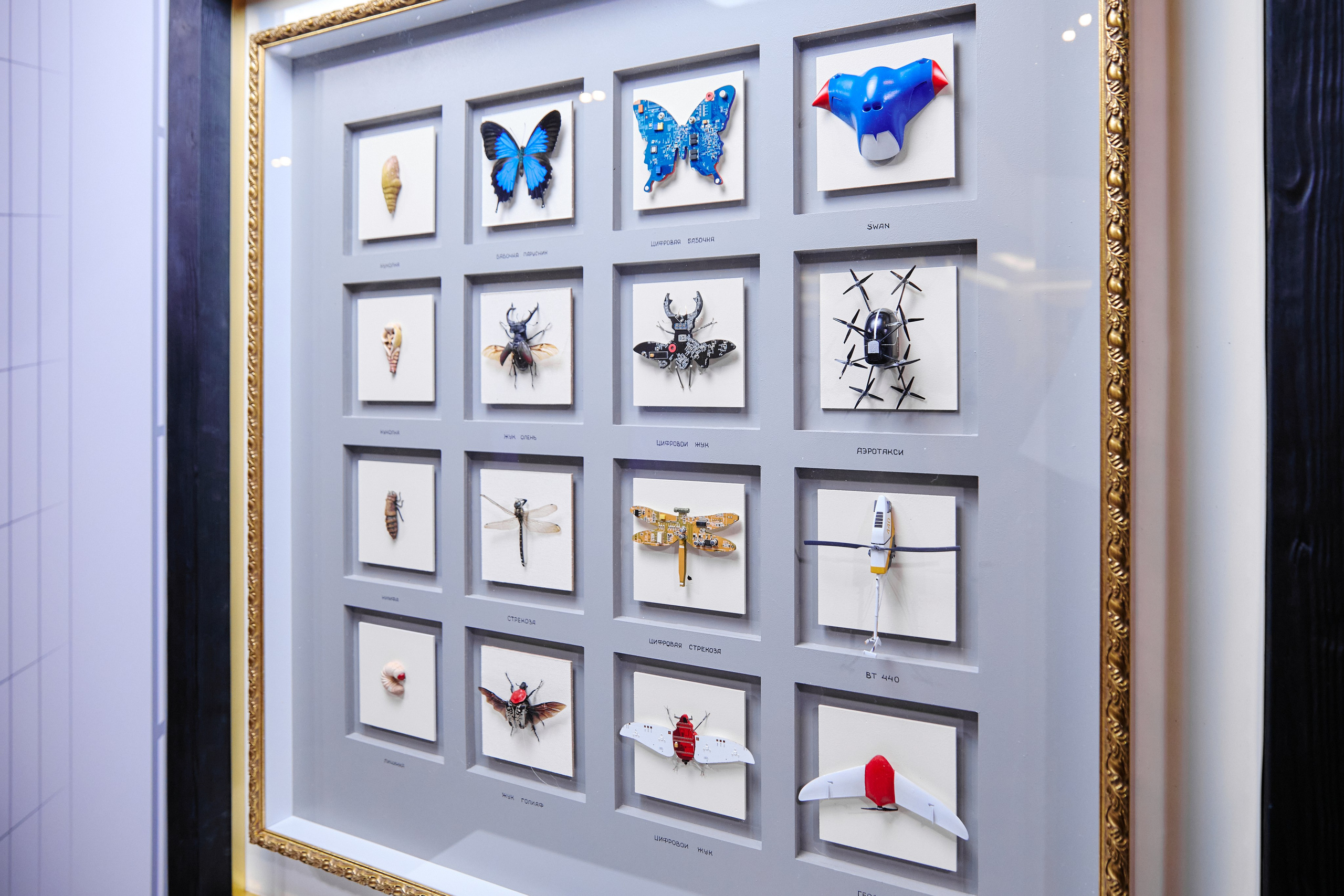 Фотограф фотосессия. Сидоров Андрей Николаевич фотограф в Москве и Новосибирске