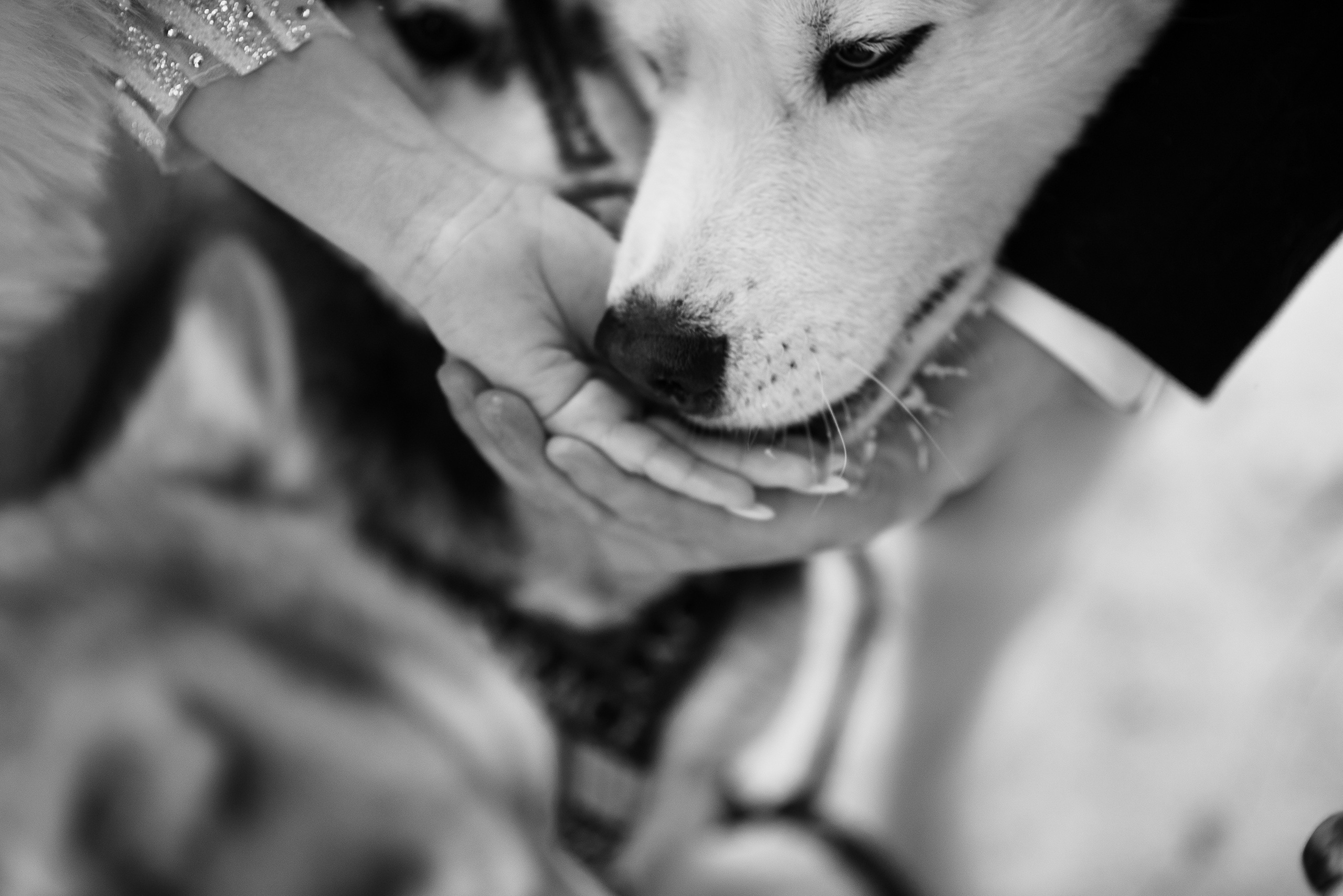 Алиса и Артём. Фотограф Галина Рагозина