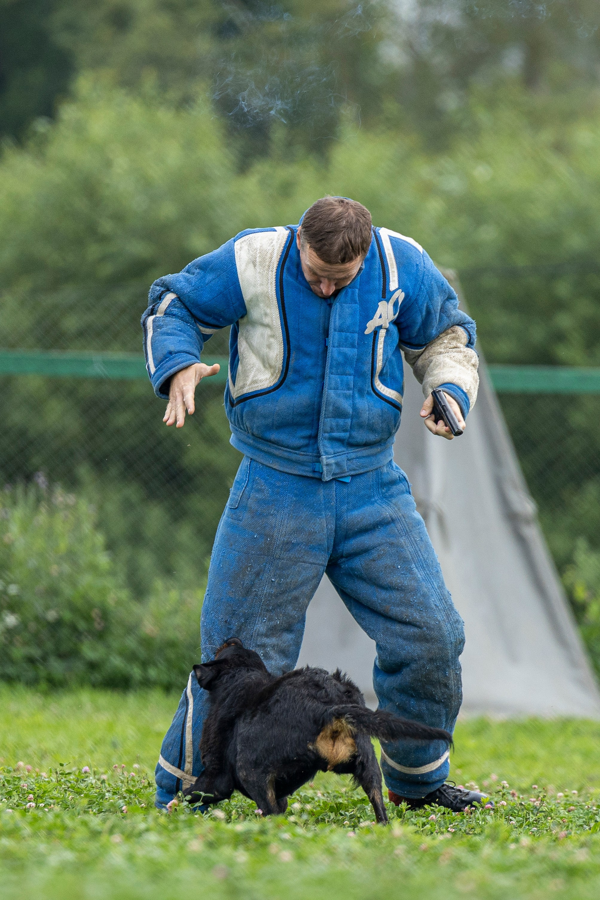 Соревнования по Мондьорингу г. Вологда 10-11.08.2024. Фотограф-анималист Анна Маринич