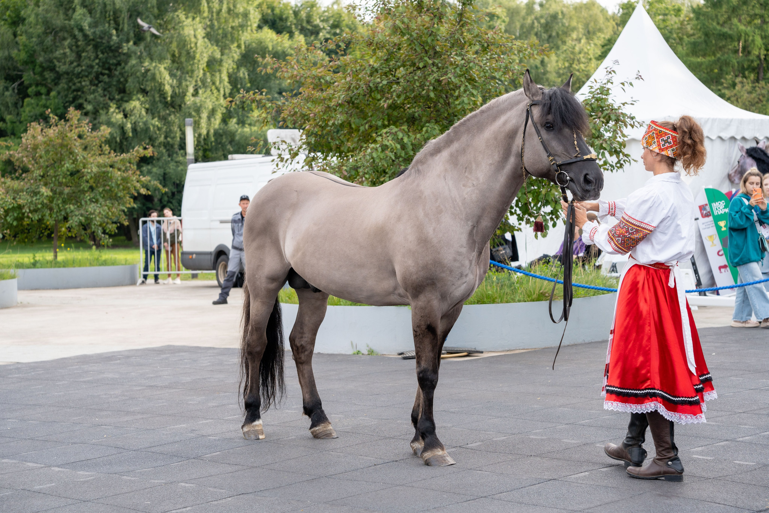 Животные. Фото, видео, монтаж