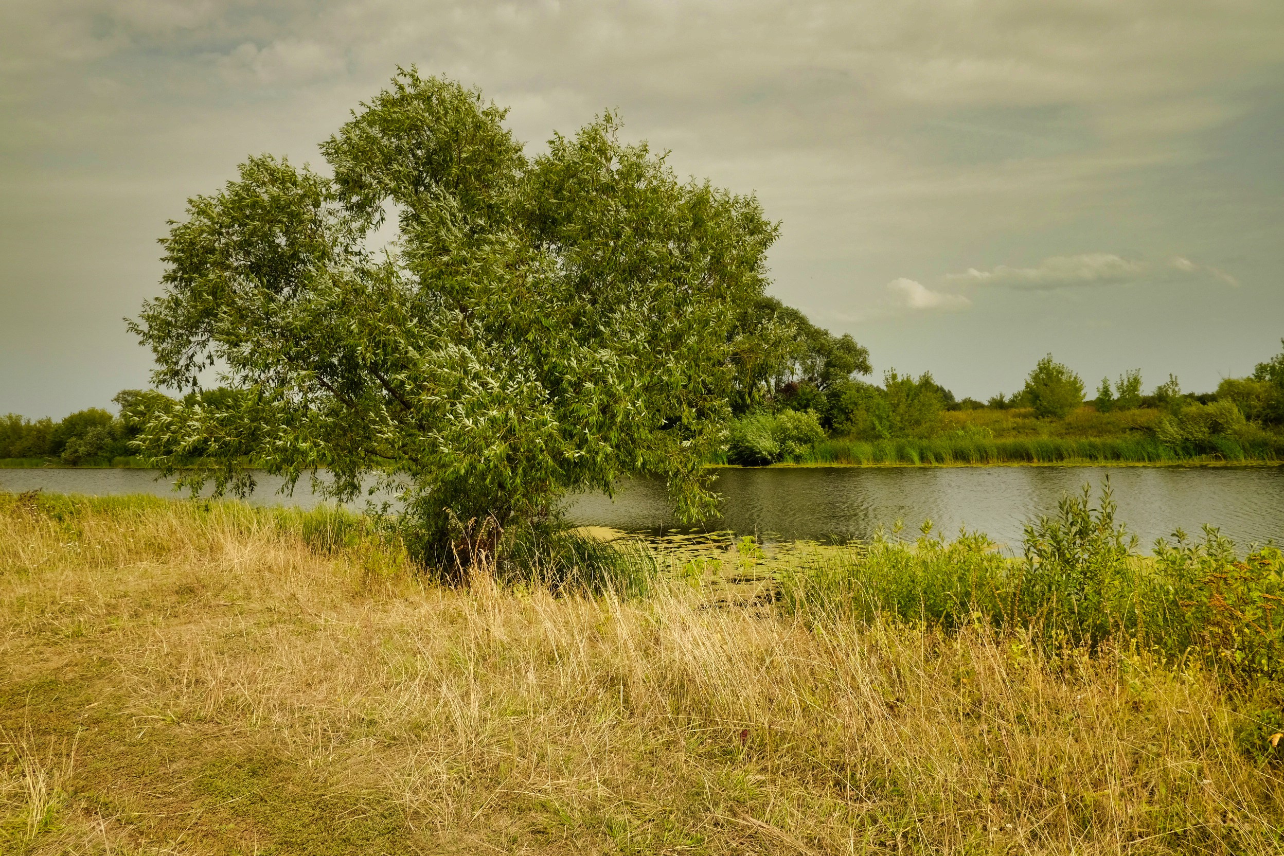 Авторская фотография фотографа Бориса Флорина
