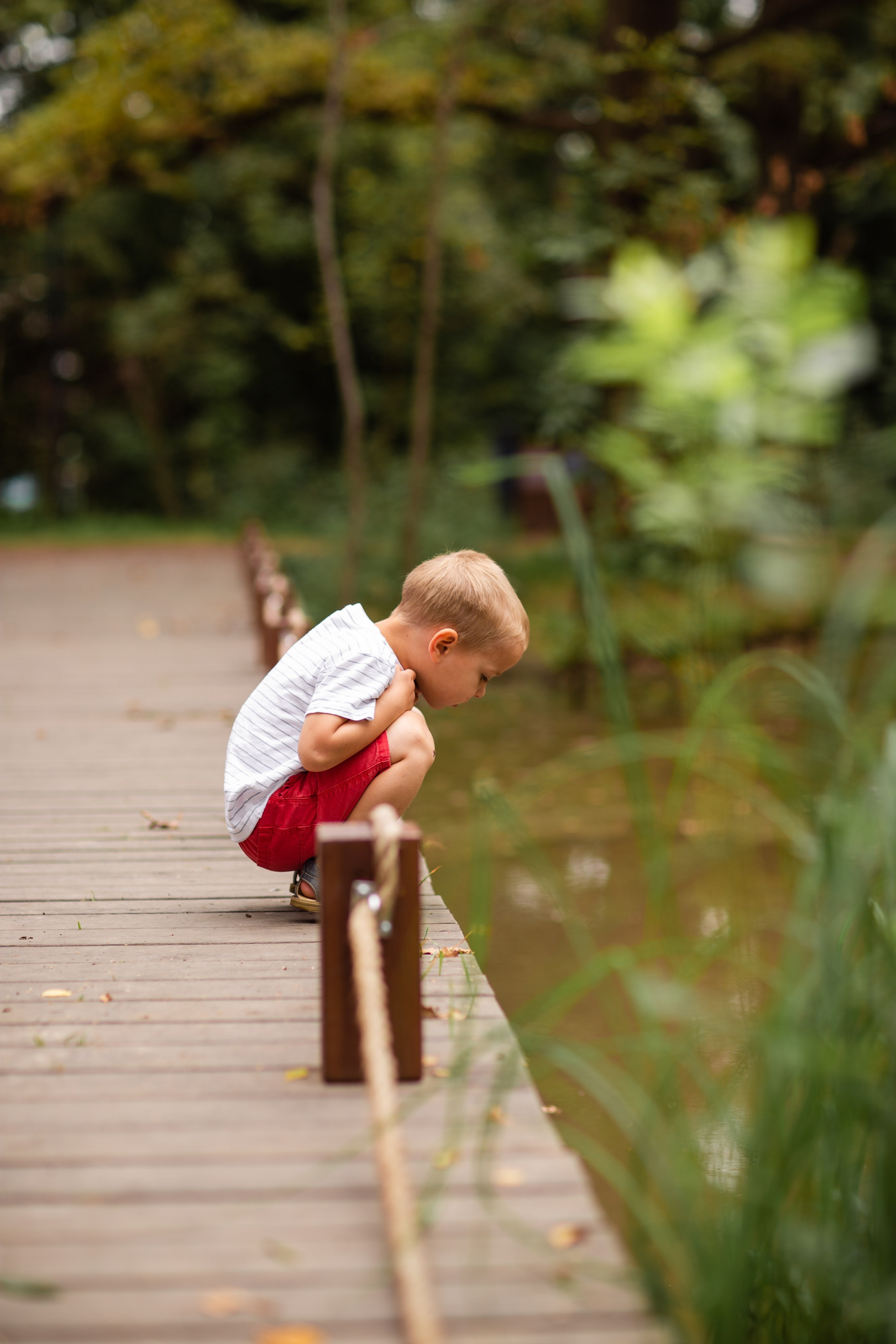 Семейная прогулка в парке. Семейный фотограф Фрязино Зрячева Кристина