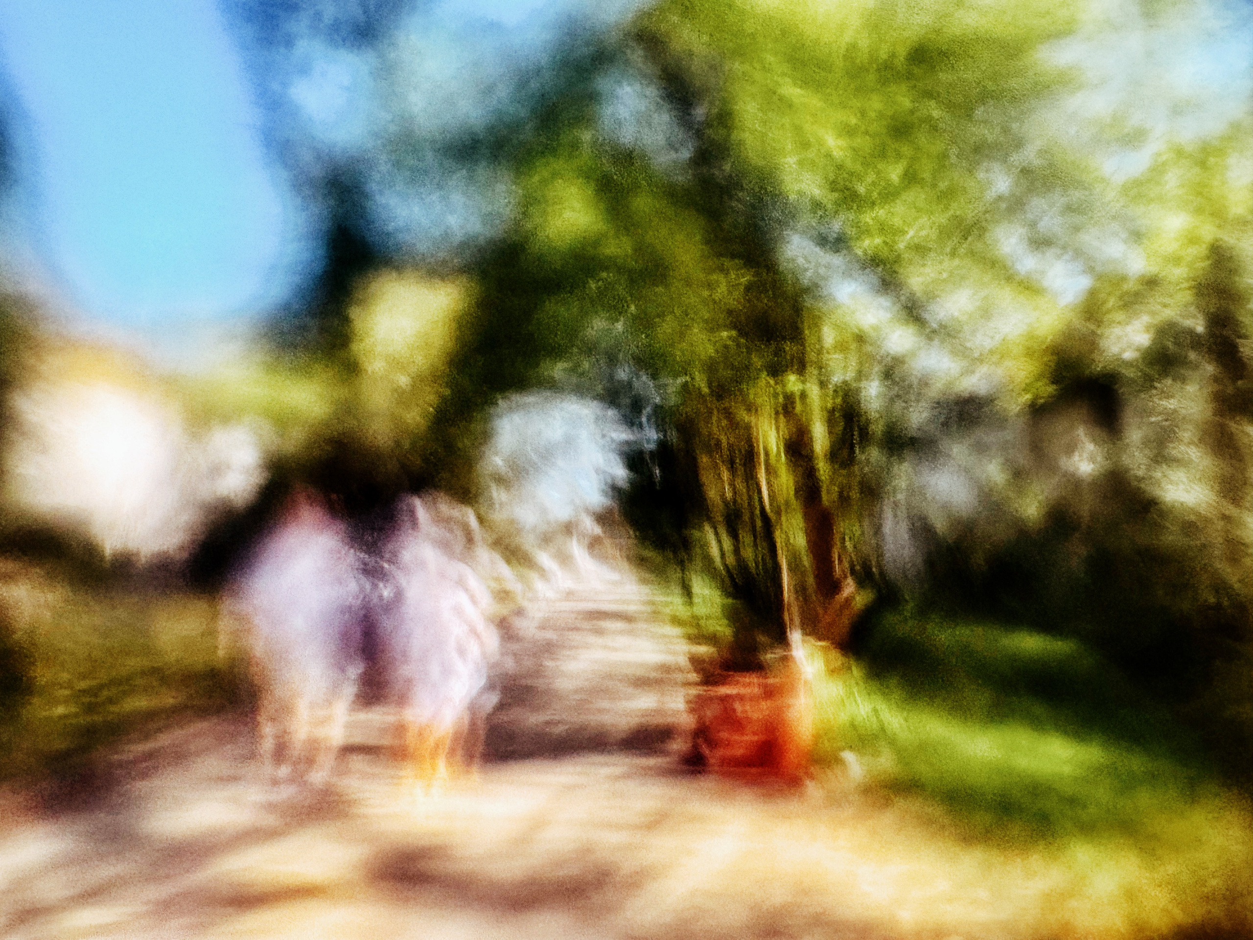 Портрет. Фотограф • Елена Миронова