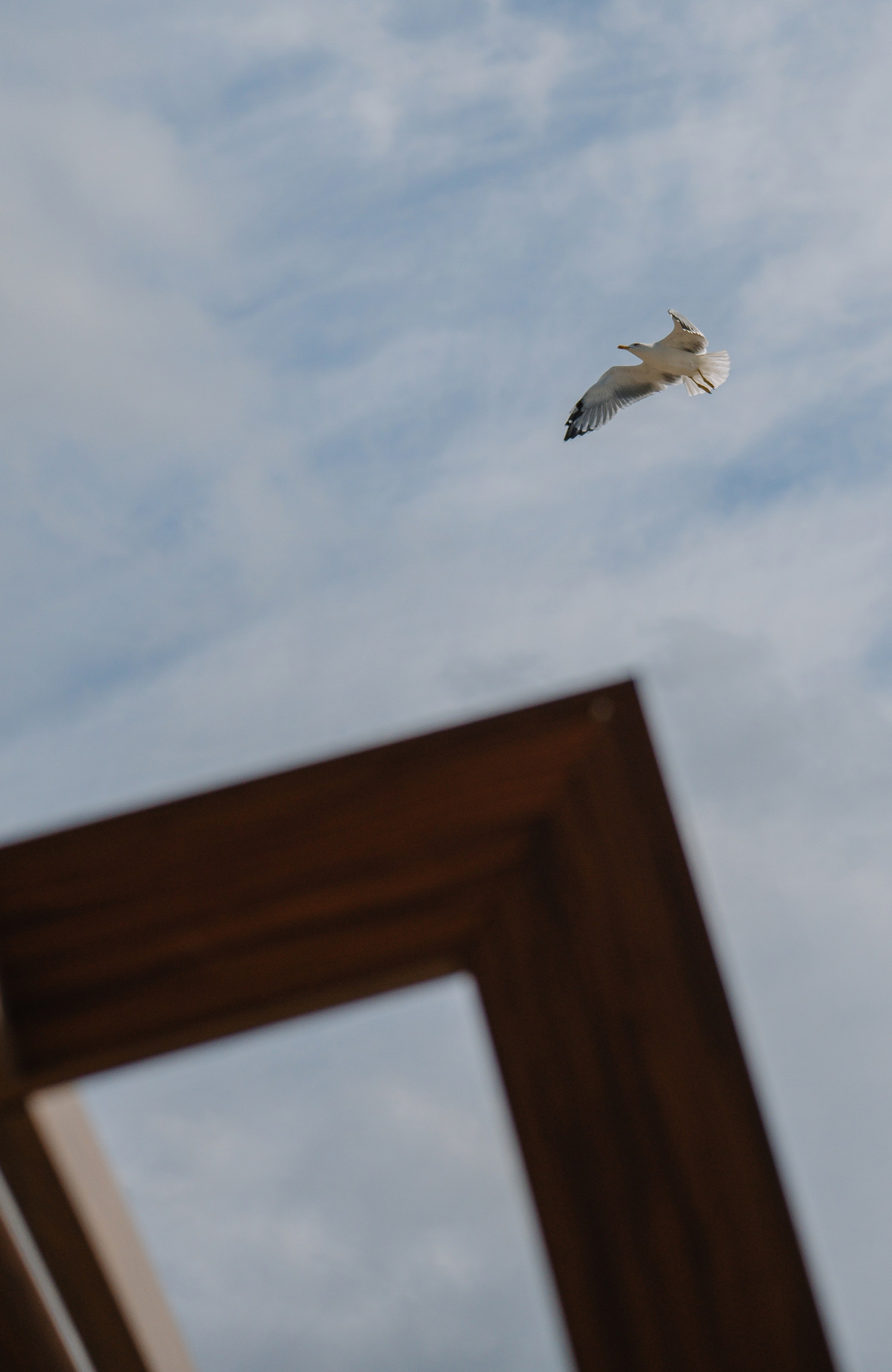 Искренность. Свадебный и семейный фотограф в Анапе Елена Полетаева