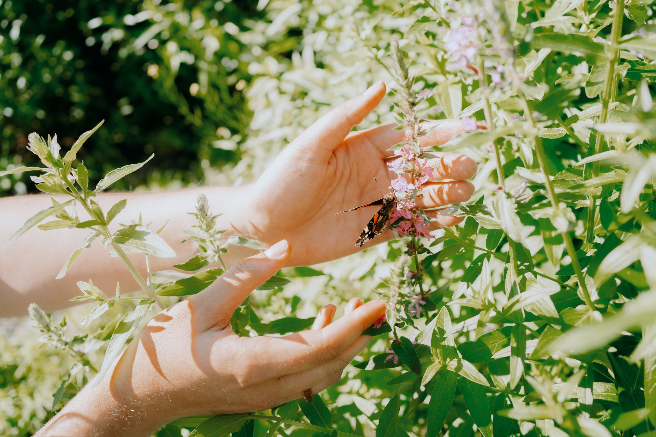 Марият и Ма