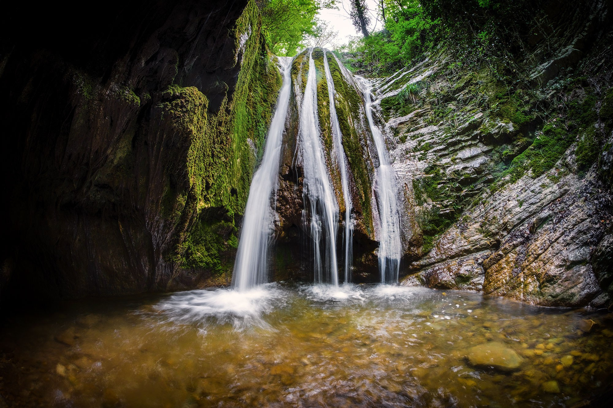 Свадебный фотограф в Геленджике