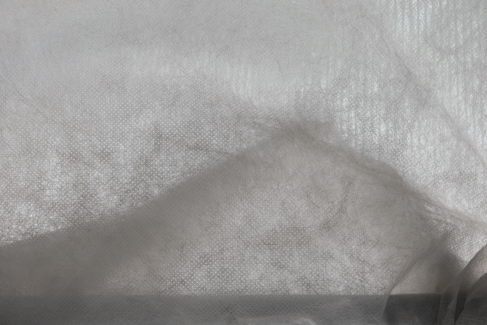 Escaping landscapes. Vita Stroganova