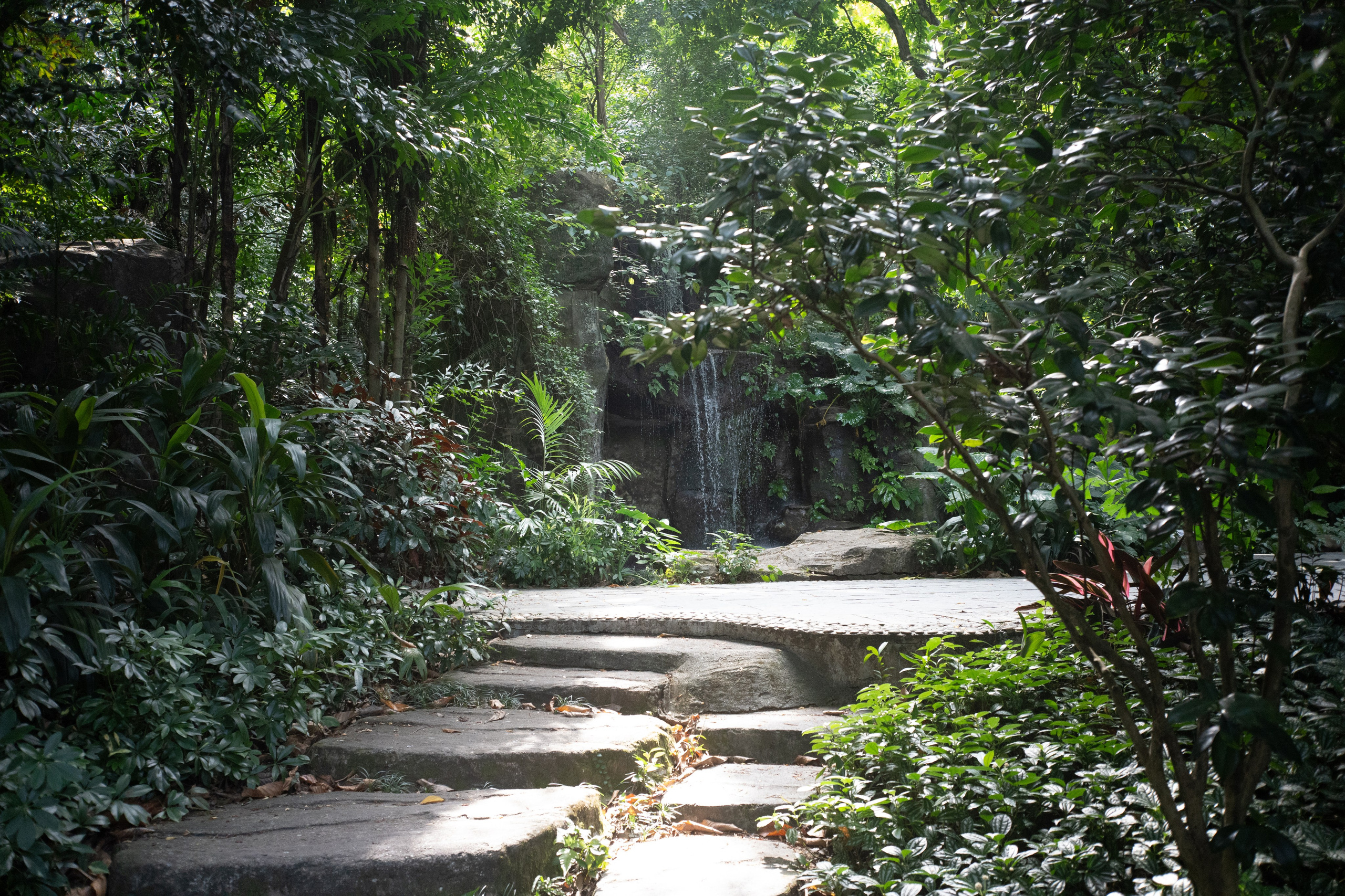 Пресеты. Фотограф Минск